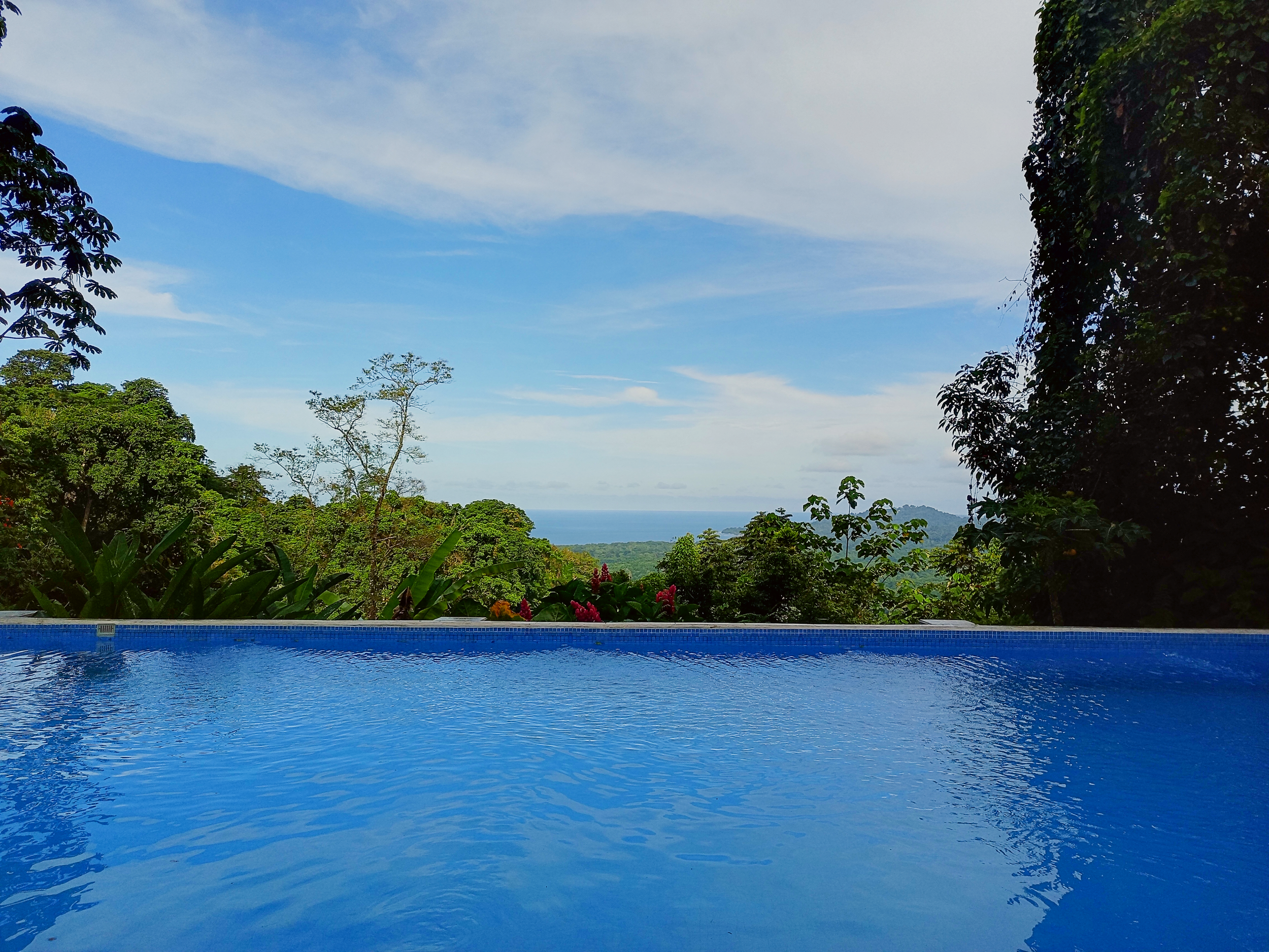 PoolView.png
