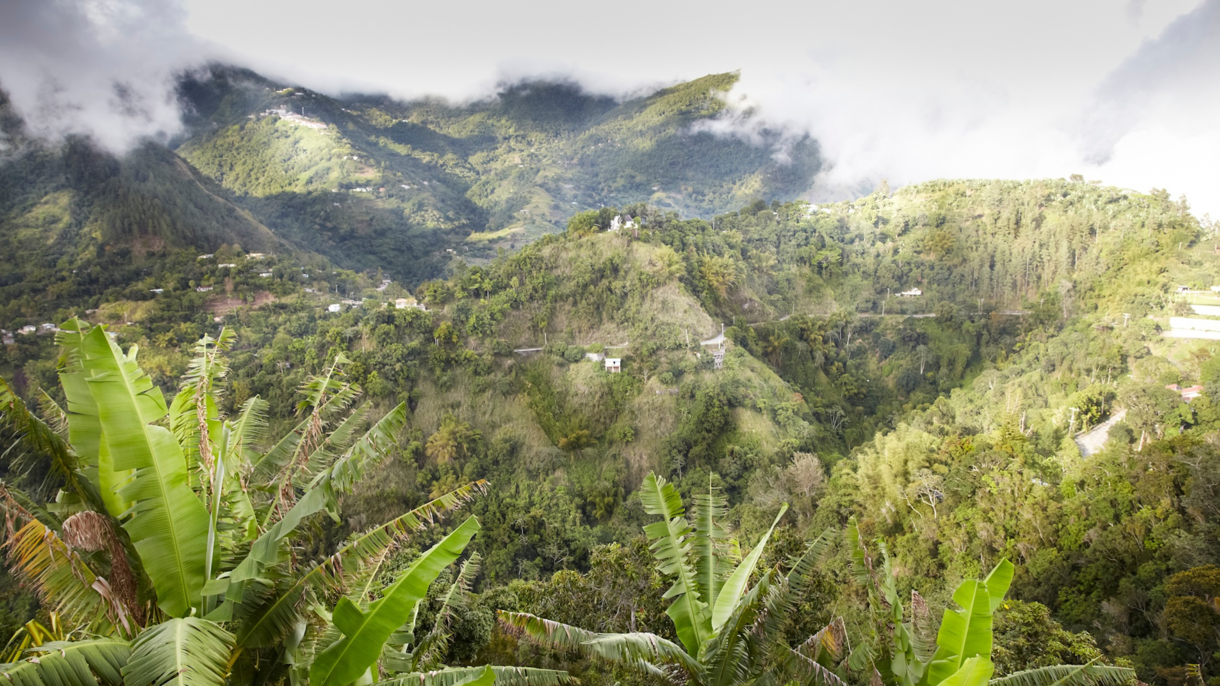 Lush green mountains with scattered houses, partly covered in clouds, viewed from a hillside with banana leaves in the foreground. Treviann Thompson Freespirit Relocation Services and Diaspora Connections.