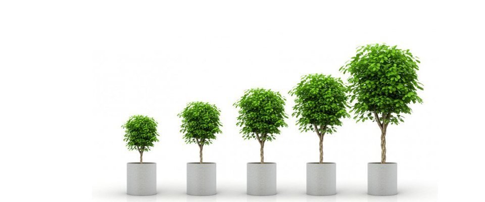 10 Key Steps to Scaling Your Event Busines