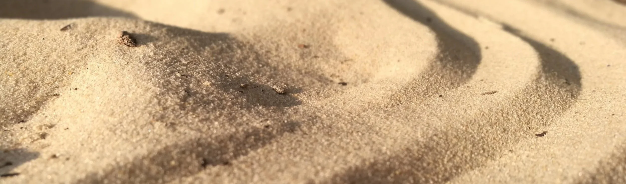 A Line In The Sand
