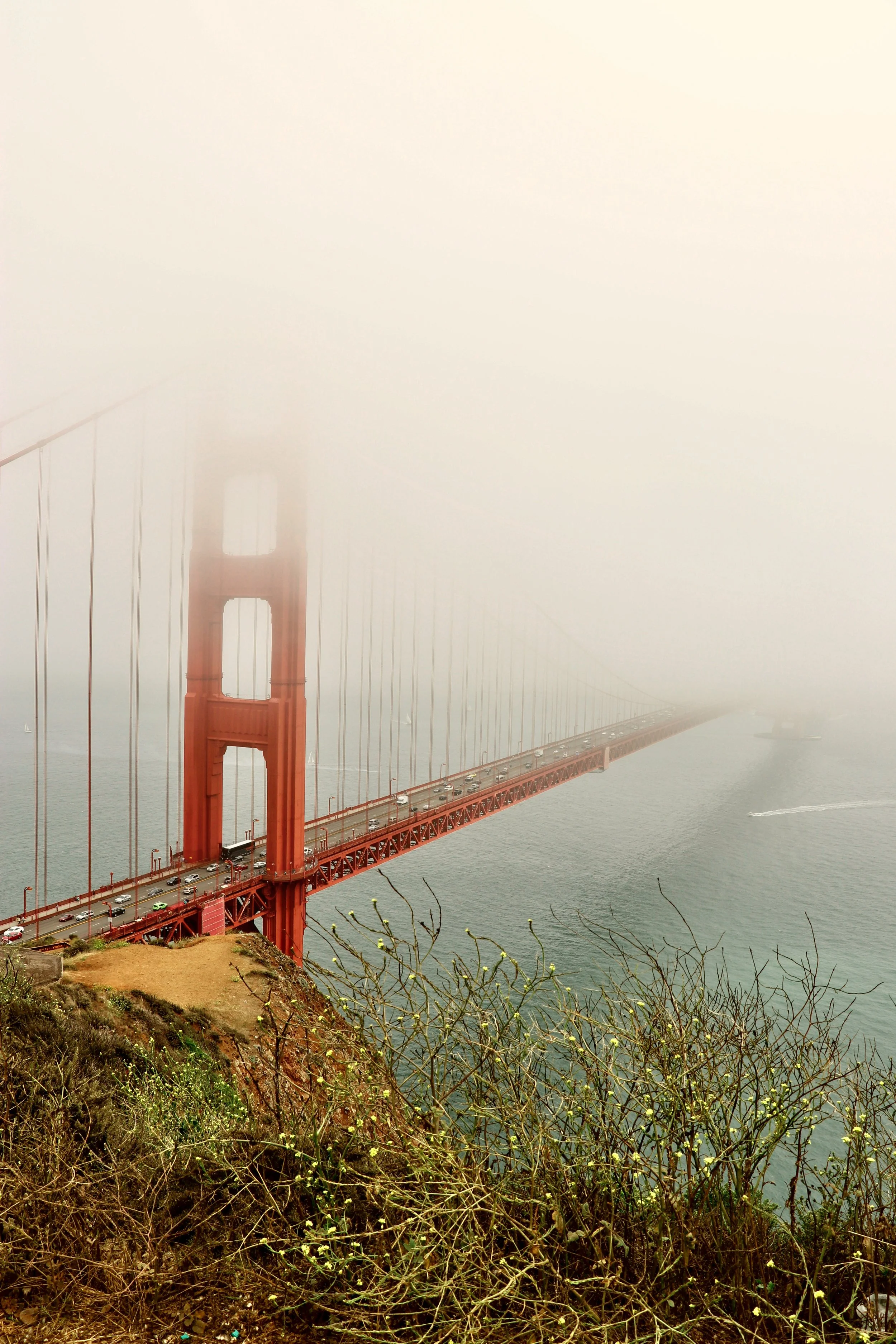 Golden Gate Bridge partially covered in fog with ocean and blooming wildflowers in foreground.