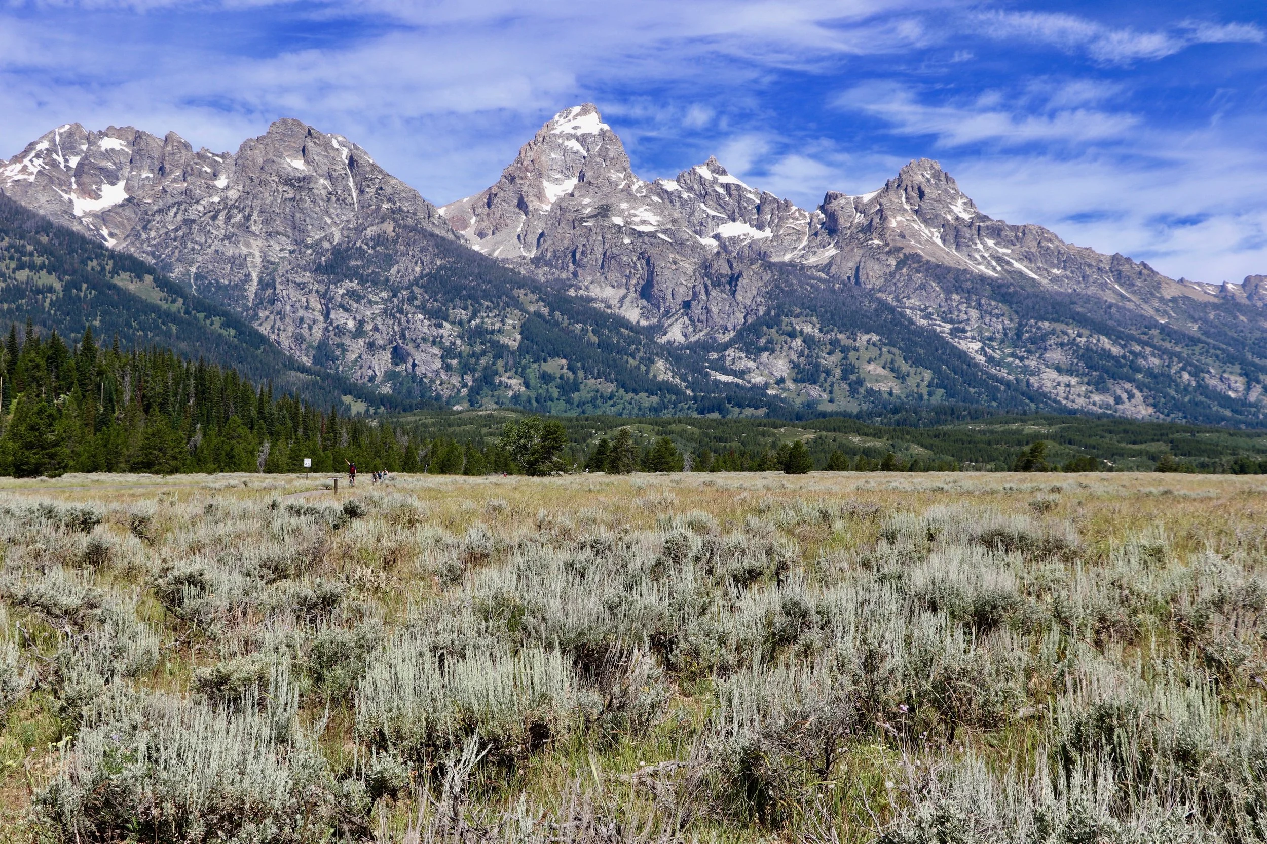 Mountain range with snowy peaks under a blue sky, foreground with green meadows and sparse vegetation.