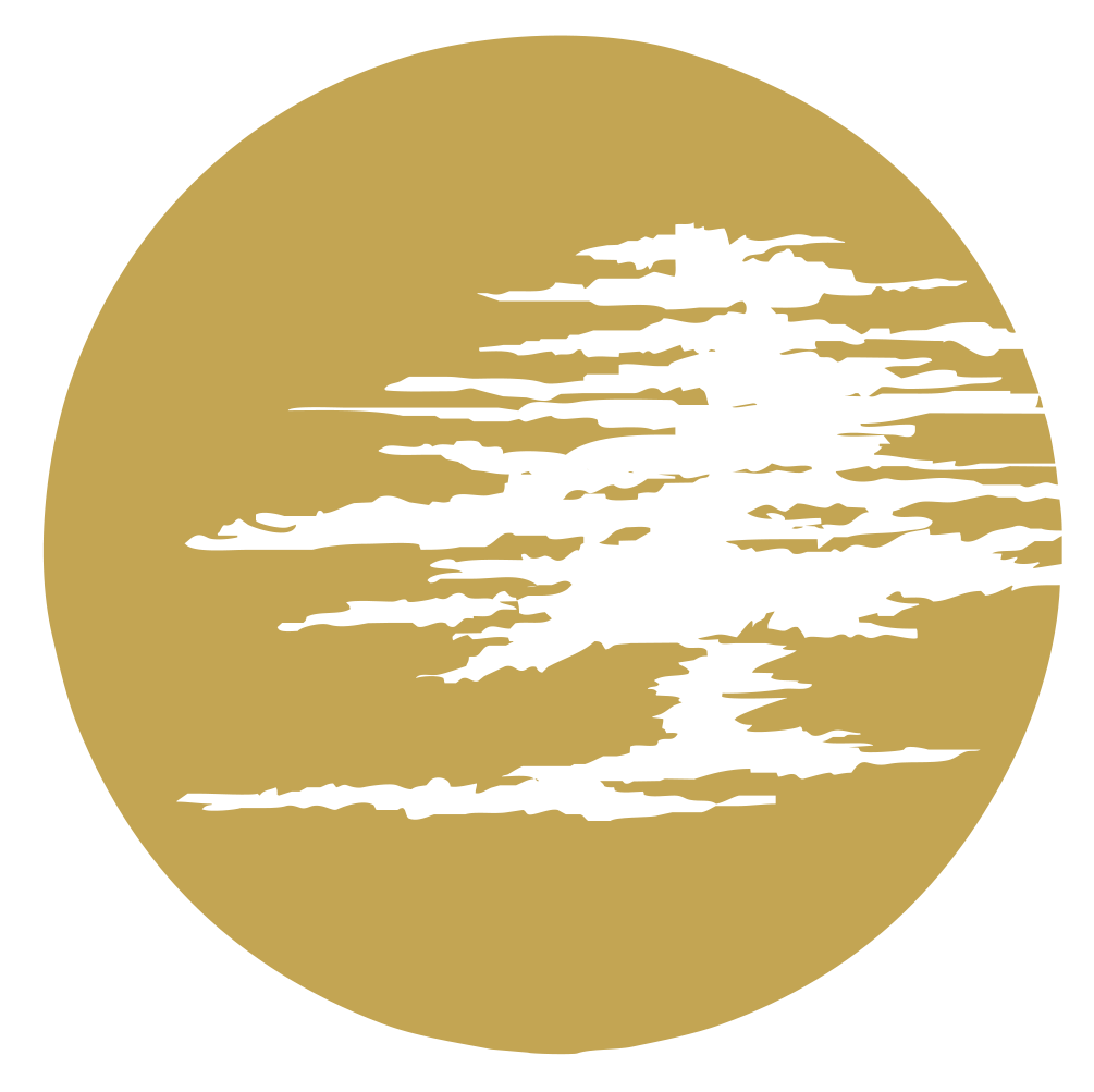 SP_logo_blk.png