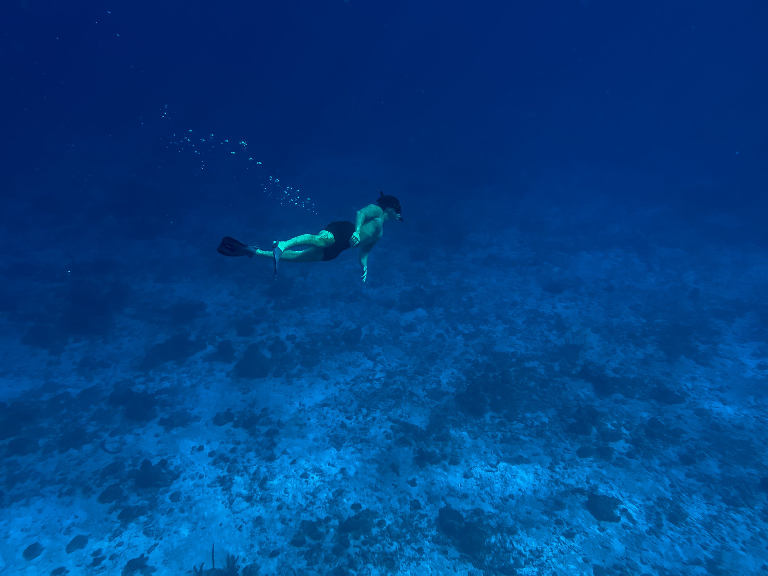 A person scuba diving underwater with fish swimming in the distance over a coral reef.