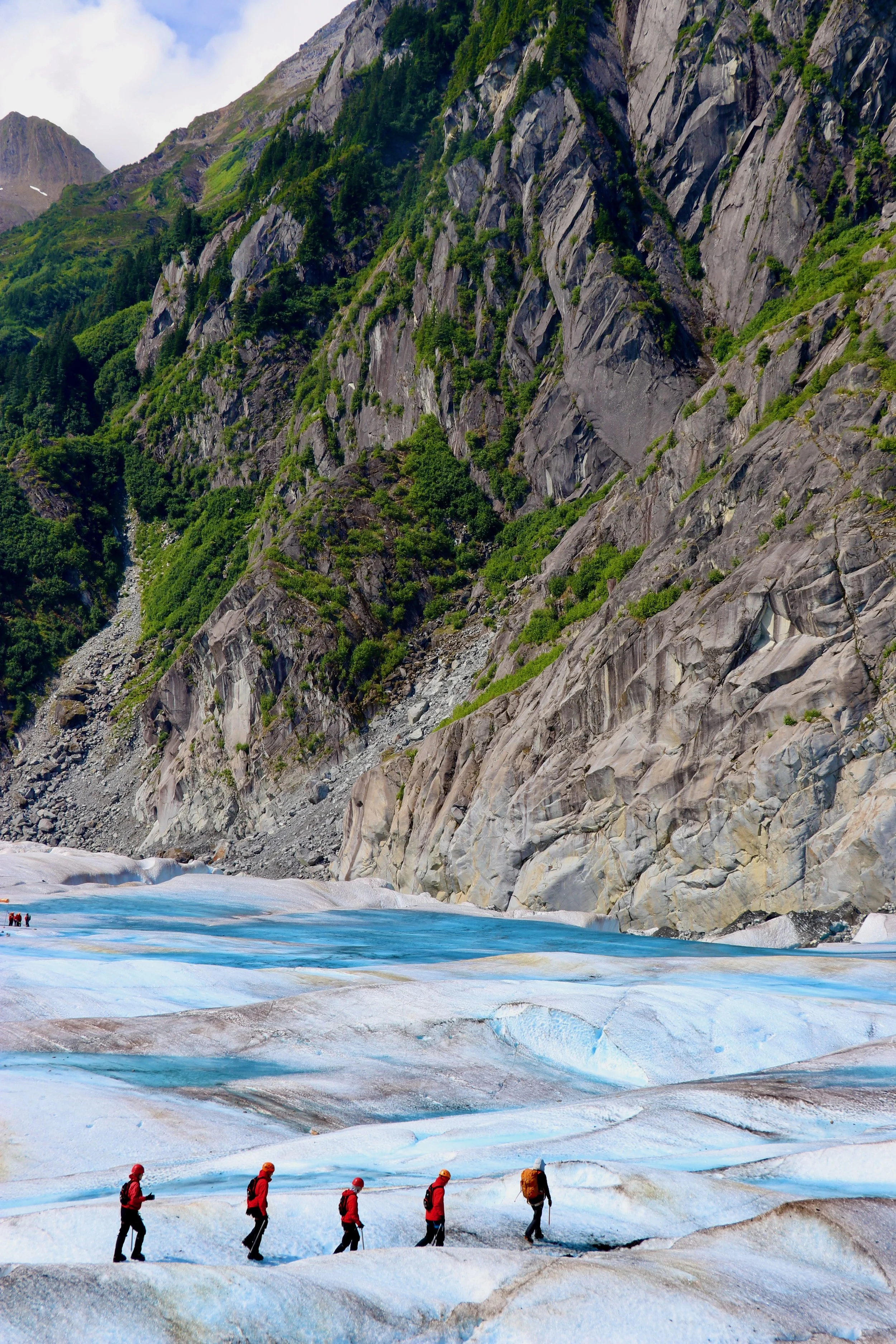Group of people hiking on a glacier with rocky mountains and greenery in the background.