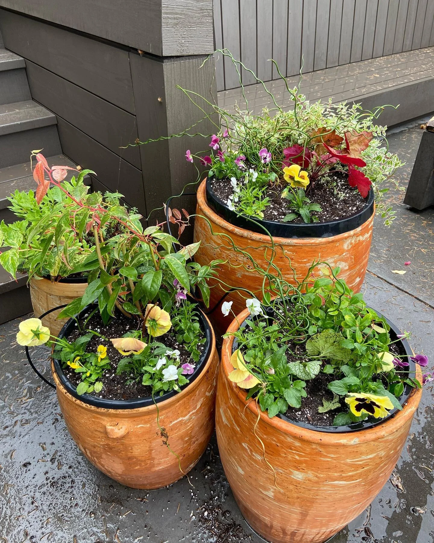 WE ARE HIRING! #gardenerswanted 
#Garden helper
$18-$22/hr 
25-40hrs/week
~ must have ~
&bull; previous experience 
&bull; vehicle
&bull; positive attitude 
&bull; references

Our team cares for estate gardens in saanichton and north Saanich. Plant k