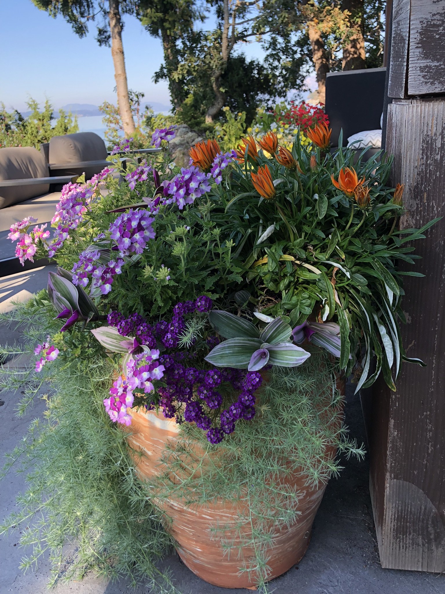planter 2.jpeg