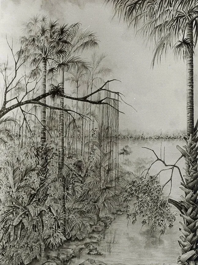 40" x 31" pen and ink, wash on paper