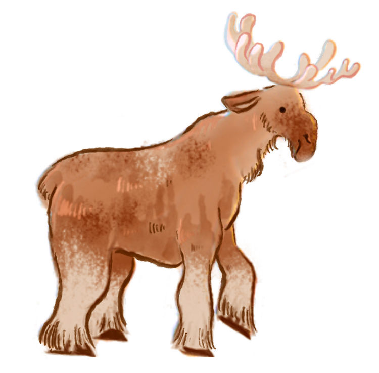 Moose