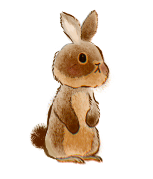 Rabbit illustration