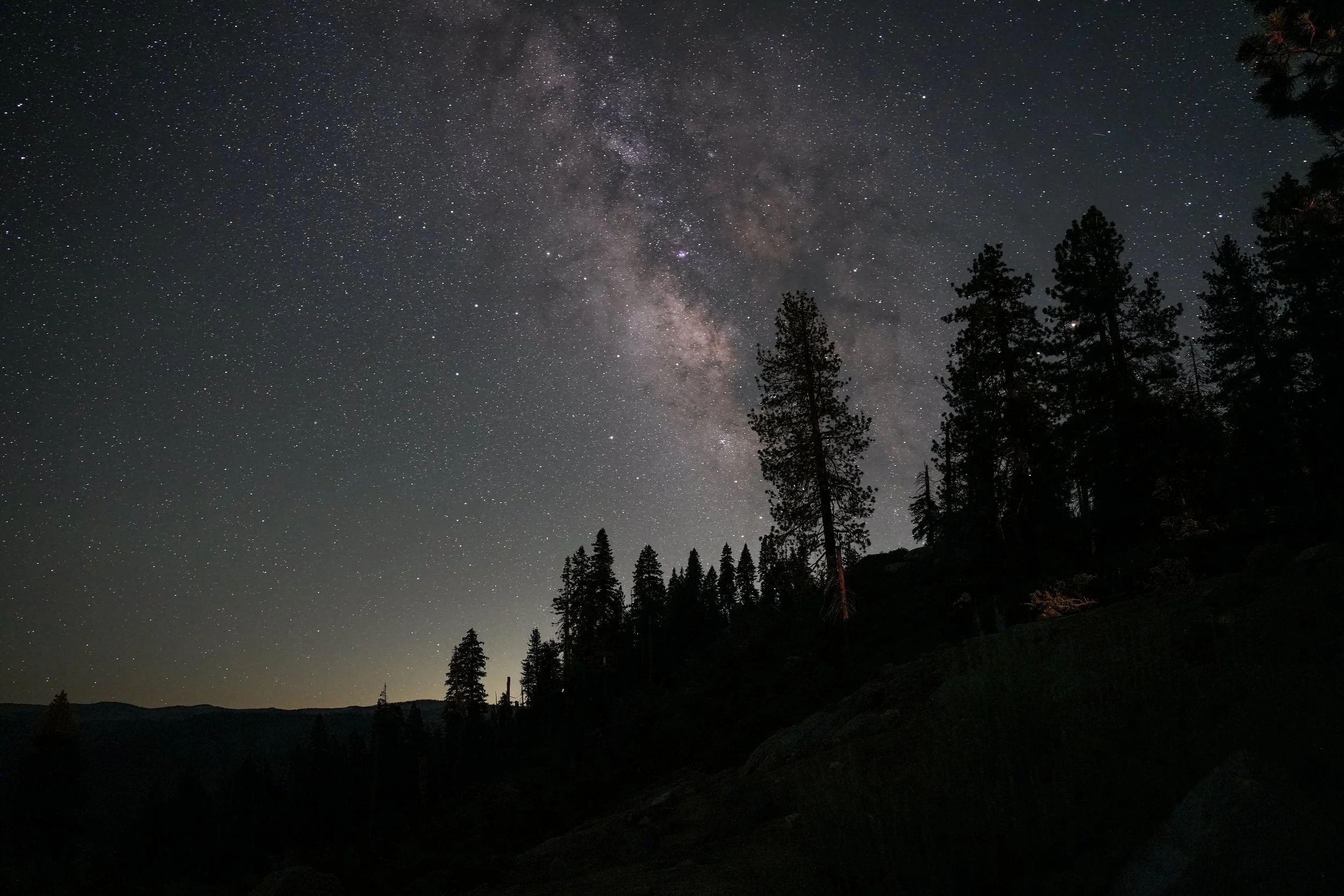 Night sky filled with numerous stars and part of the Milky Way galaxy visible. Silhouettes of tall trees in the foreground.