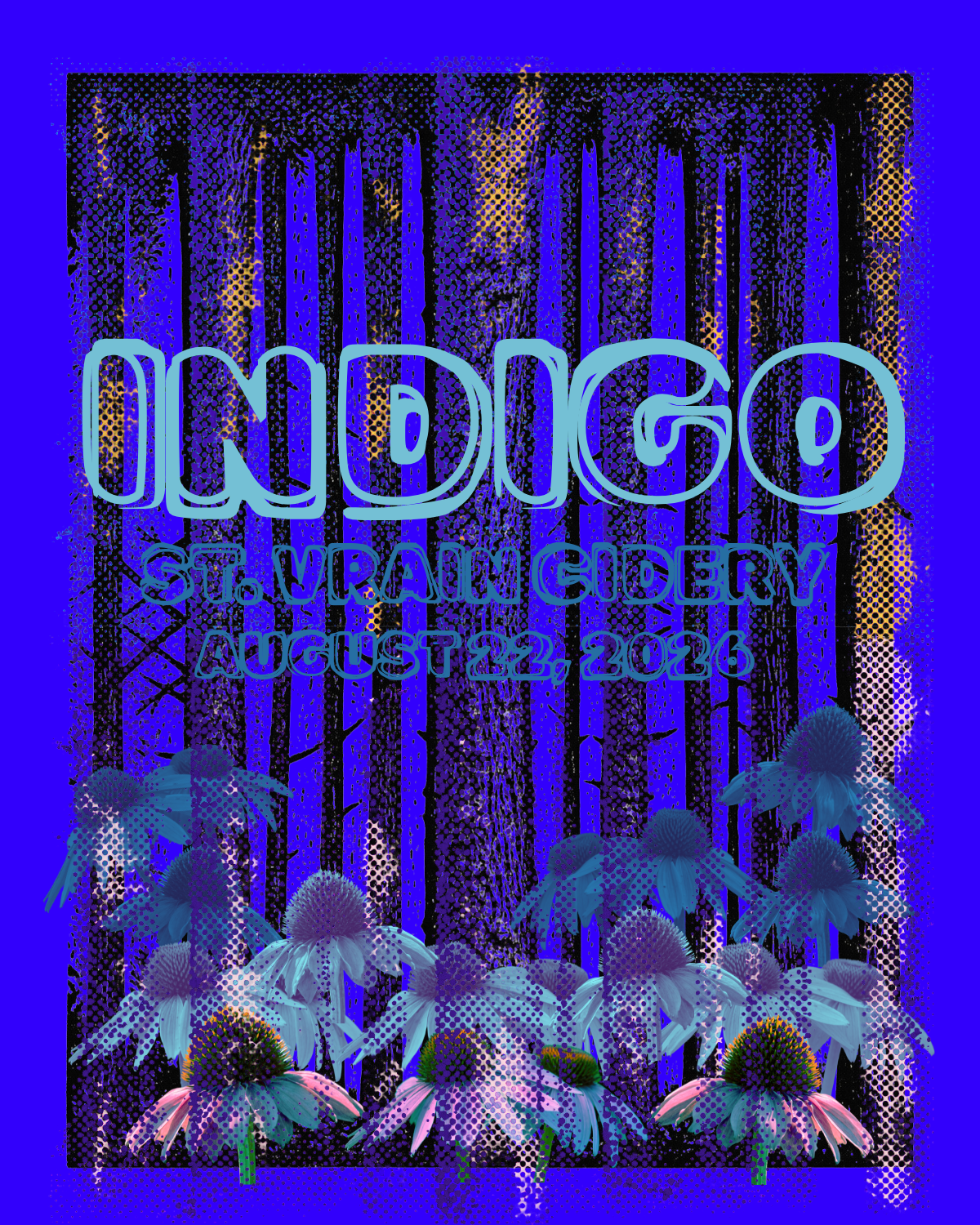 MUSIC | INDIGO