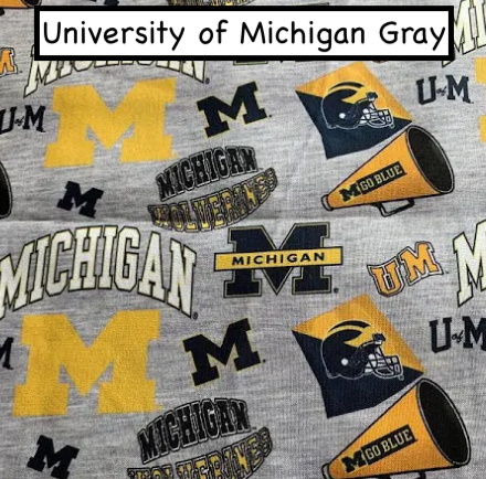 University of Michigan Gray.png