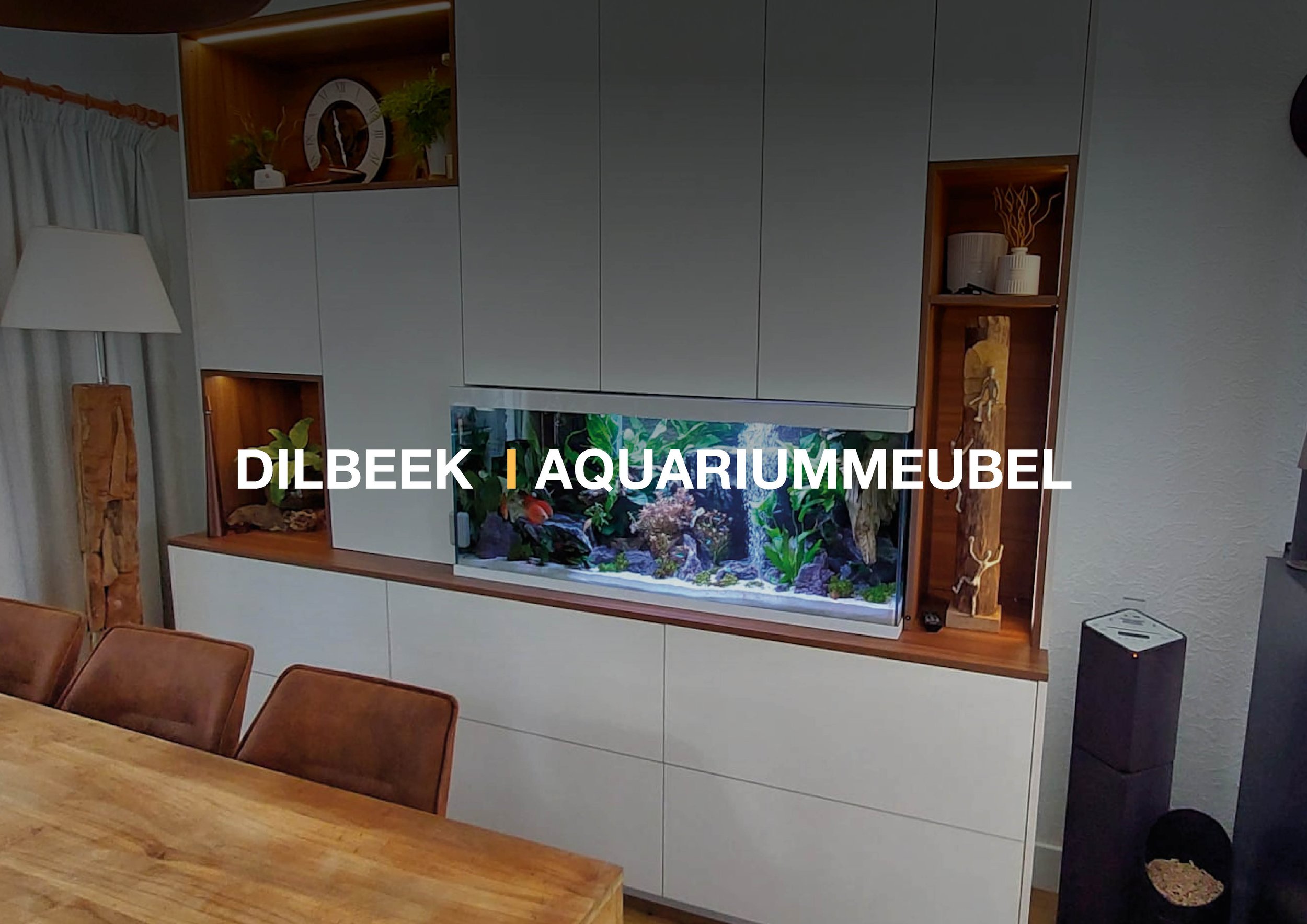 Dilbeek l Aquarium