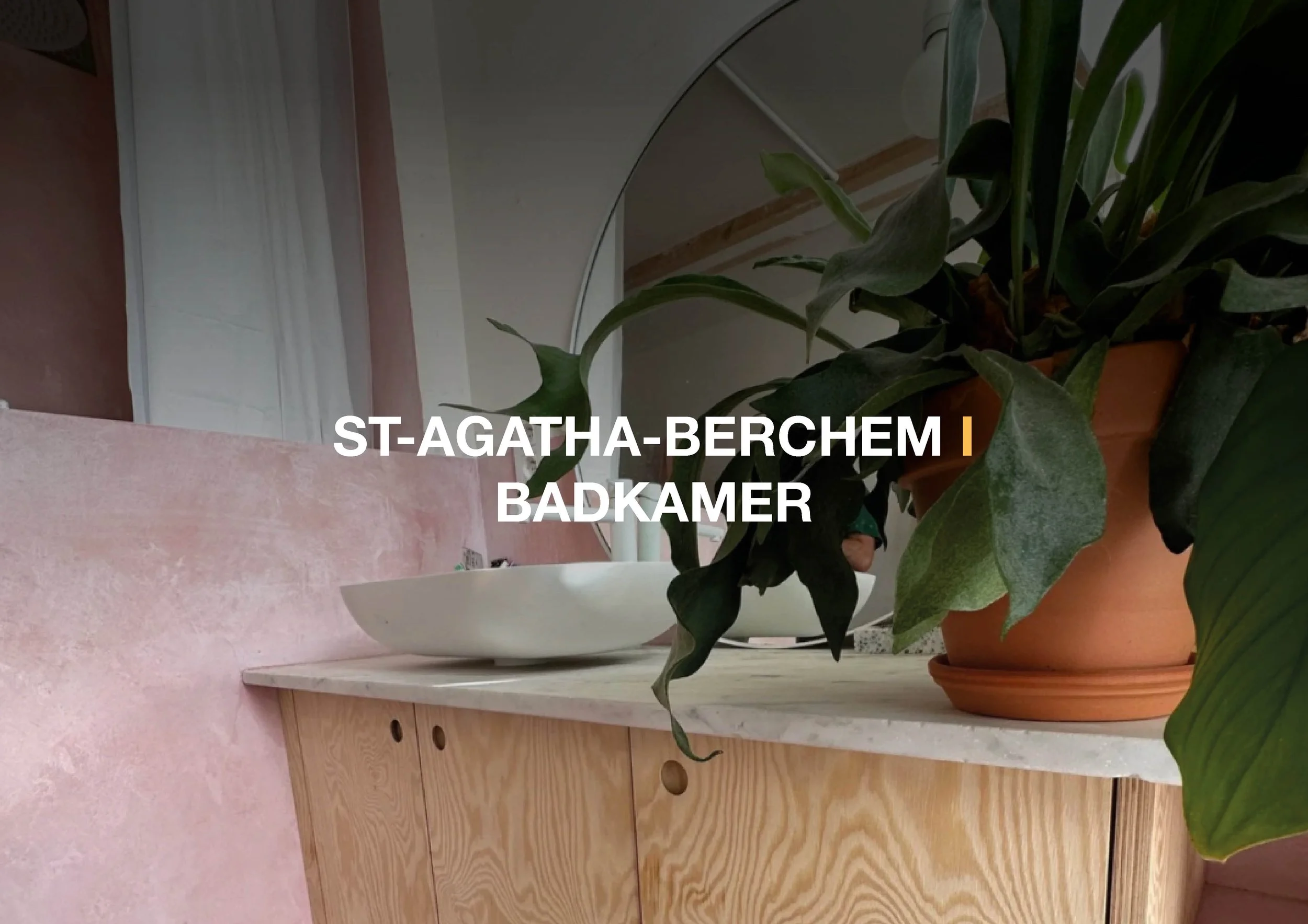 ST-AGATHA-BERCHEM l BADKAMER