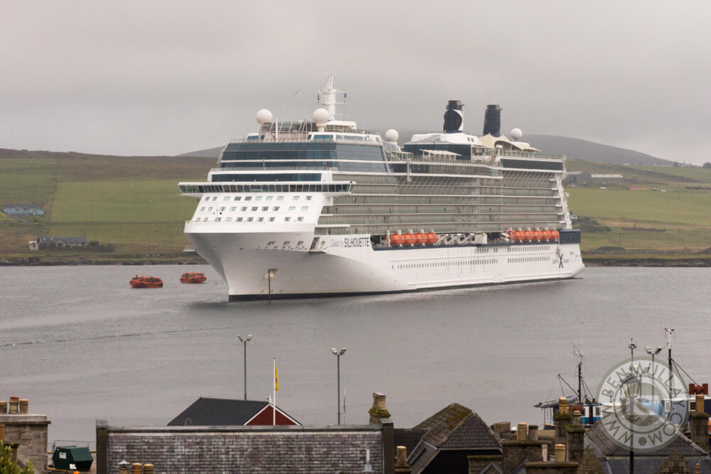 Celebrity Silhouette