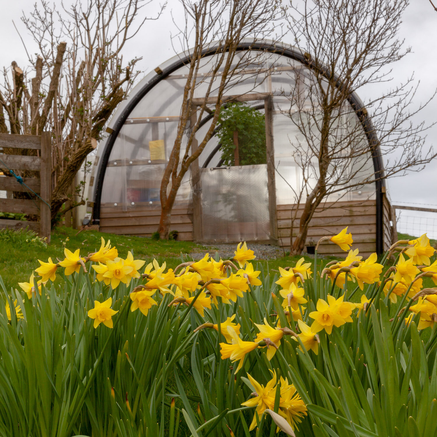 Polycrub expansion for Northmavine Community Development Company