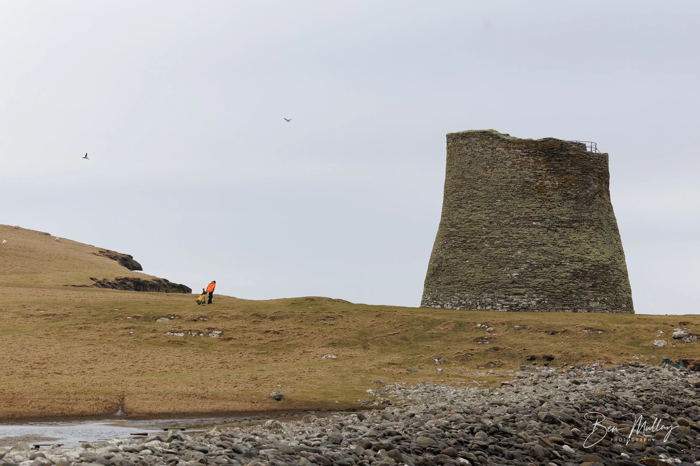 Historic Environment Scotland team member in orange jacket arriving at Mousa Broch in Shetland