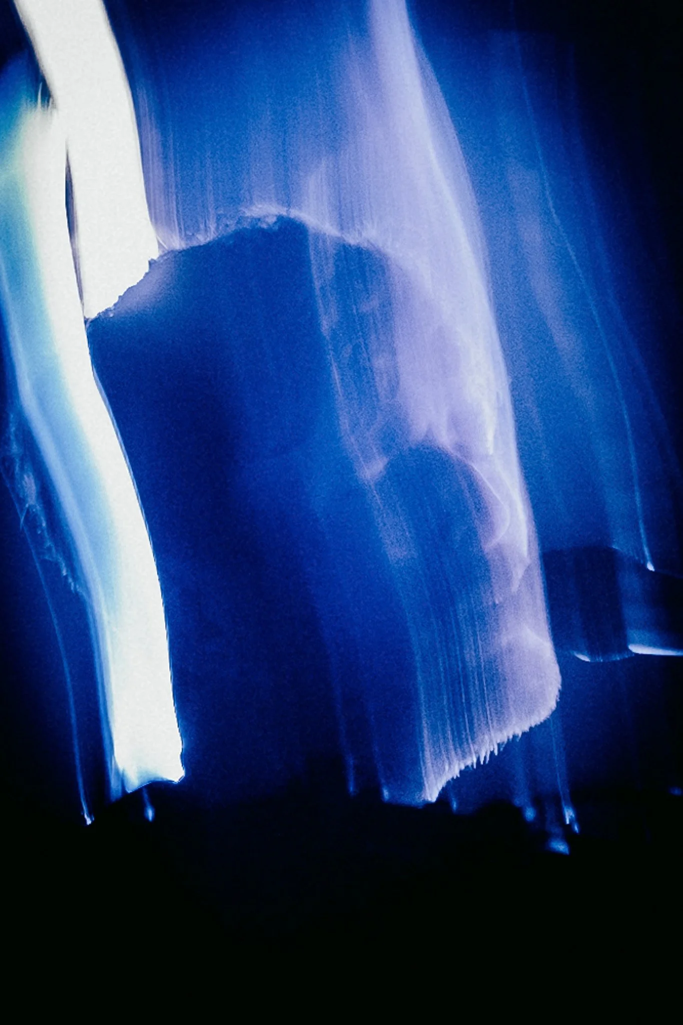 L1380945.jpg