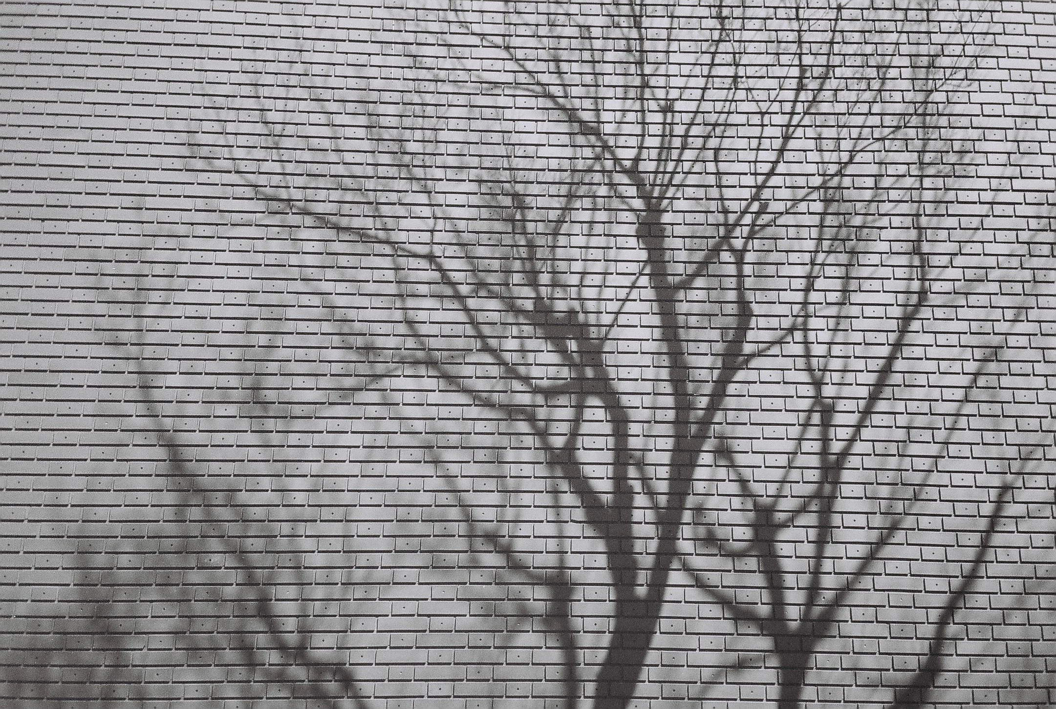 QUIETLY WALKING / personal photo project
