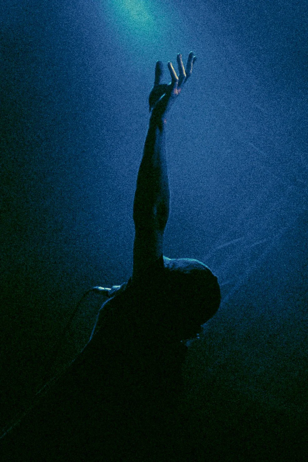 L2040652.jpg