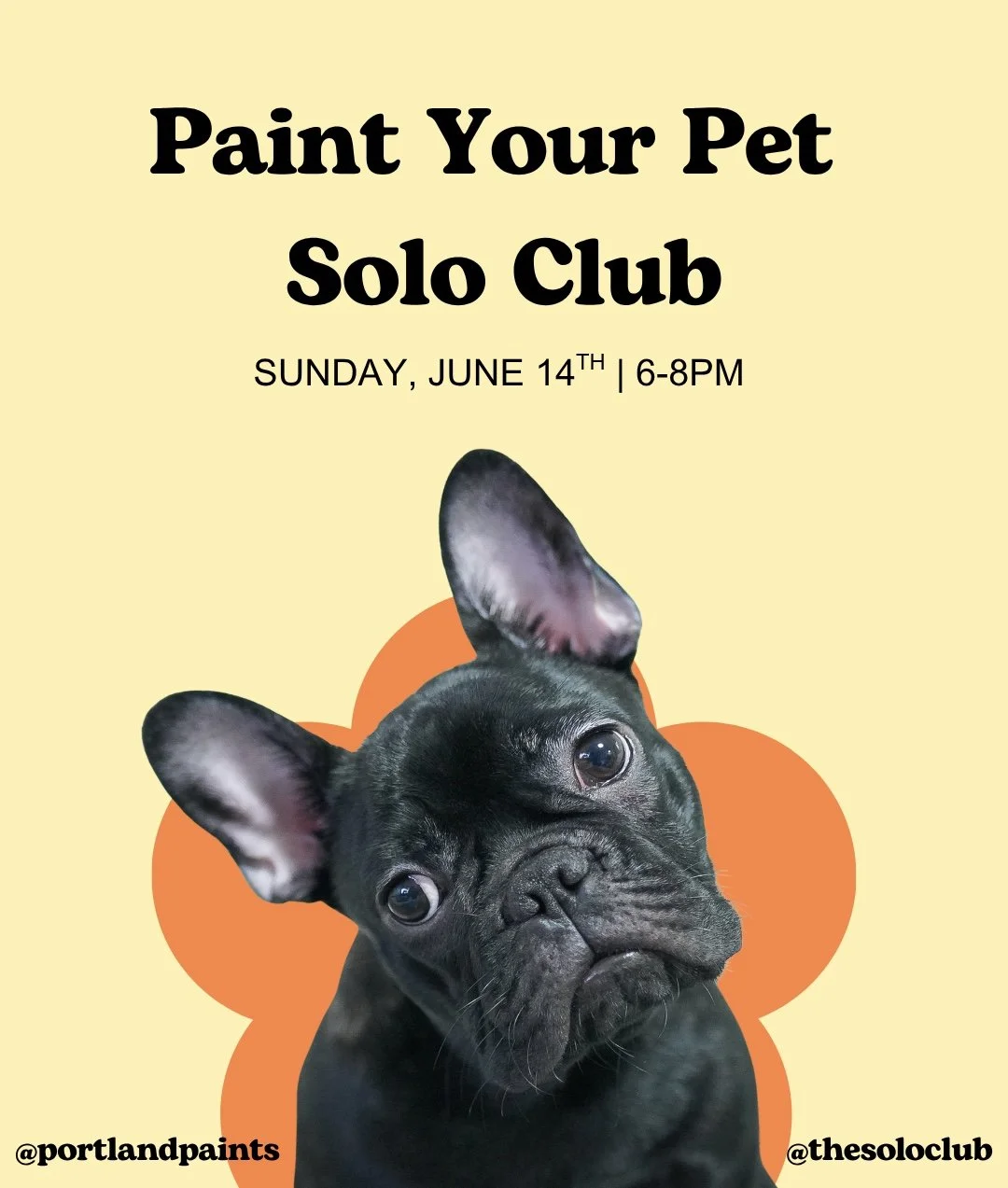 Paint Your Pet at Solo Club 