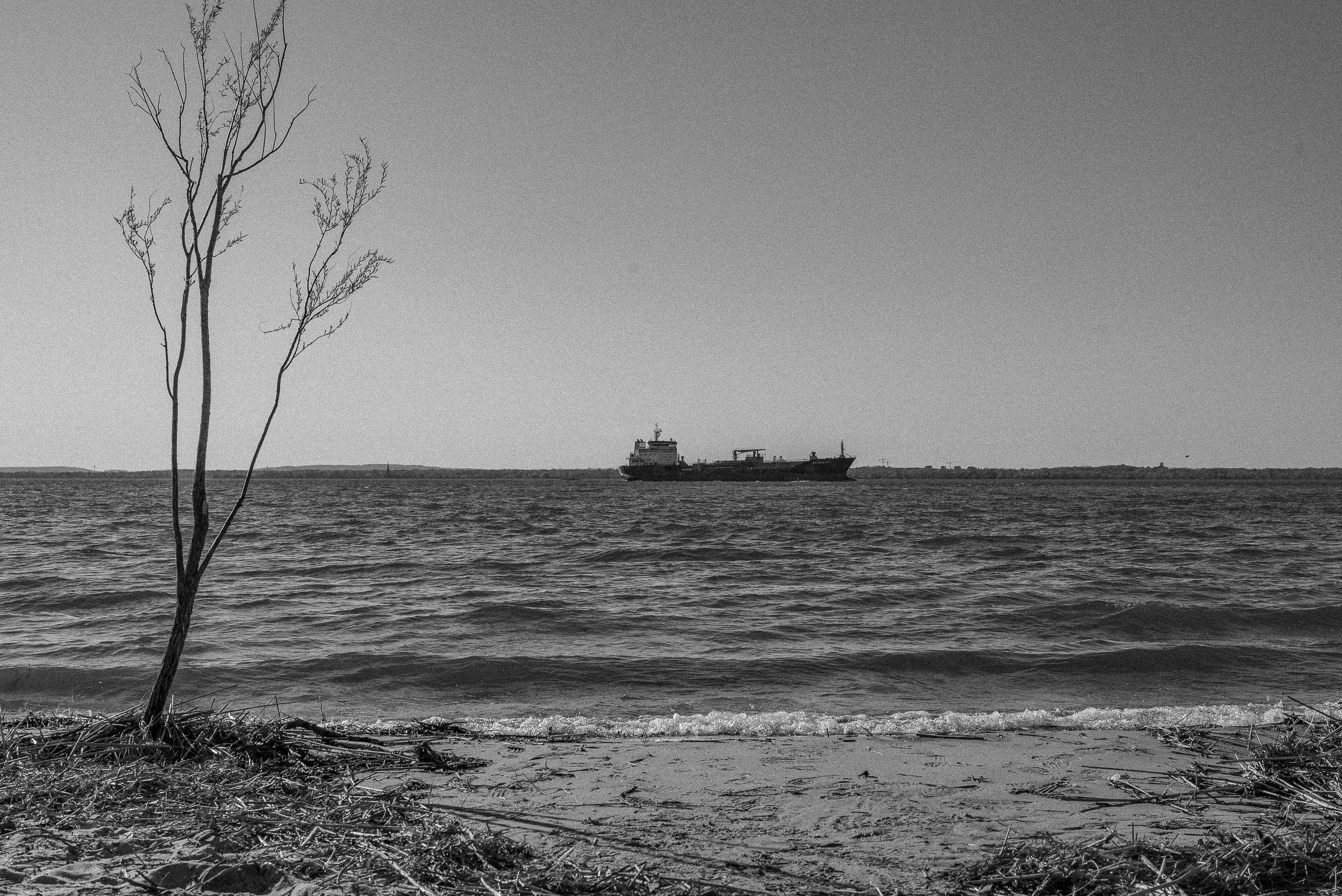 DSC_0675-1.jpg