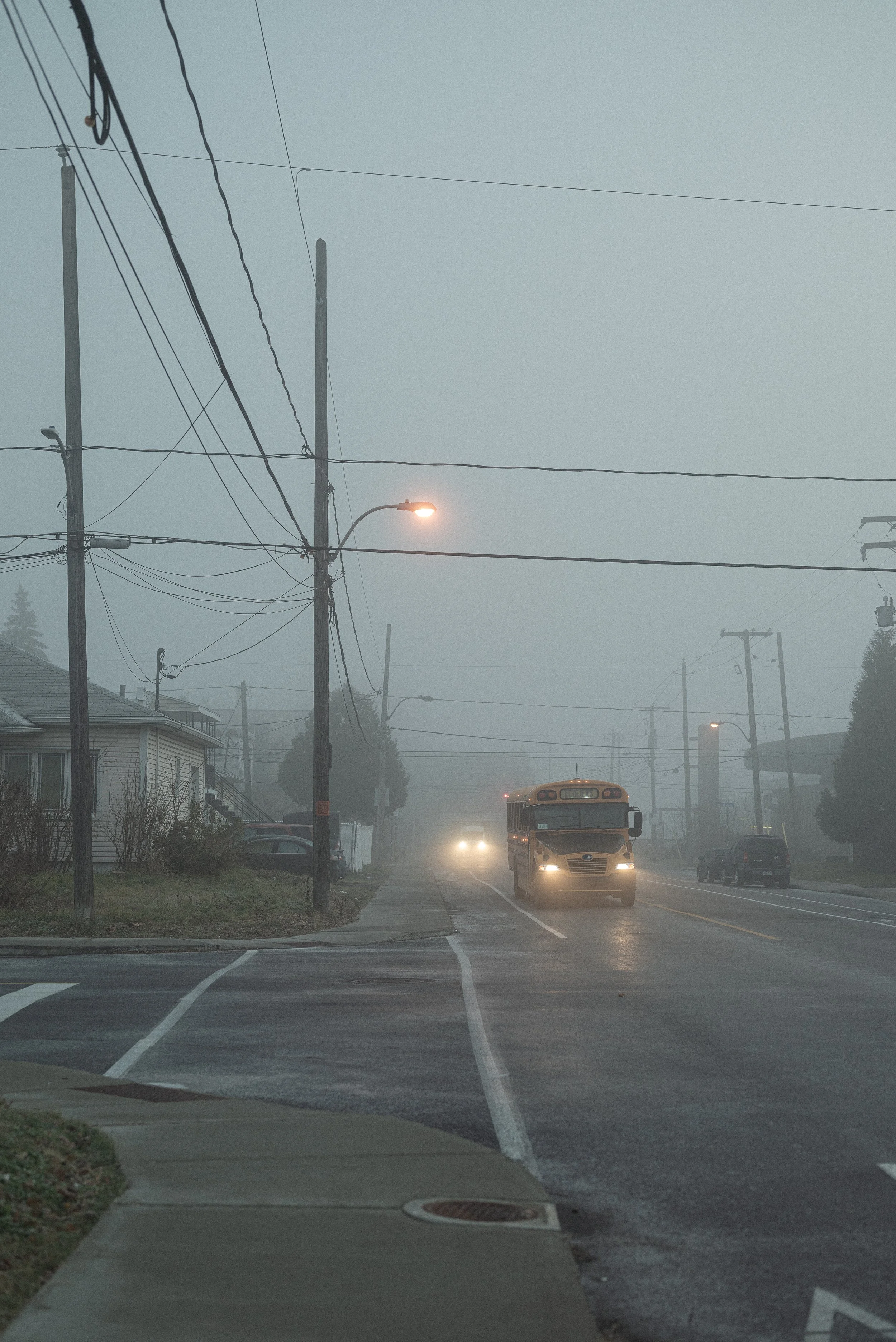 DSC_7705.jpg