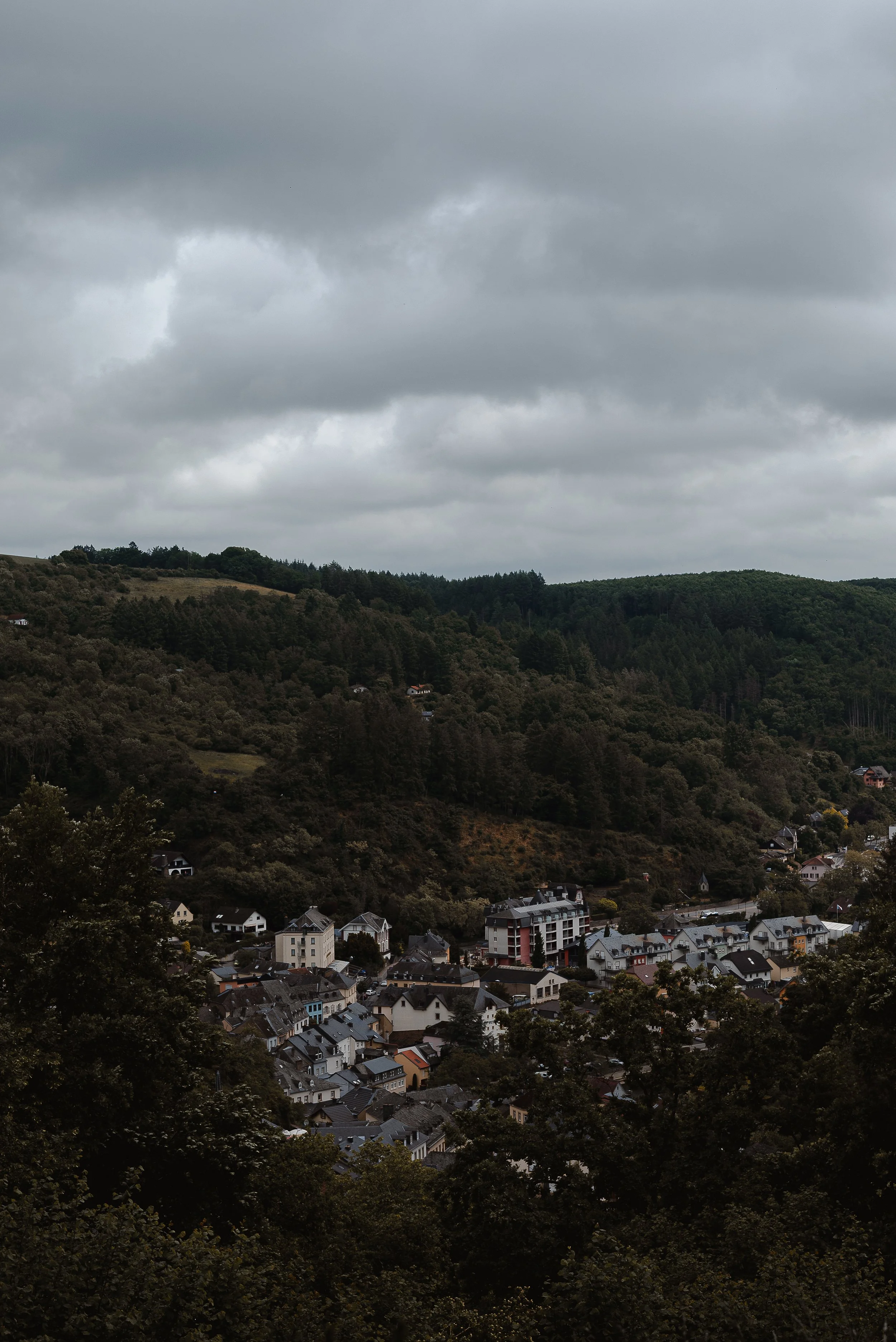 DSC_2221-74.jpg