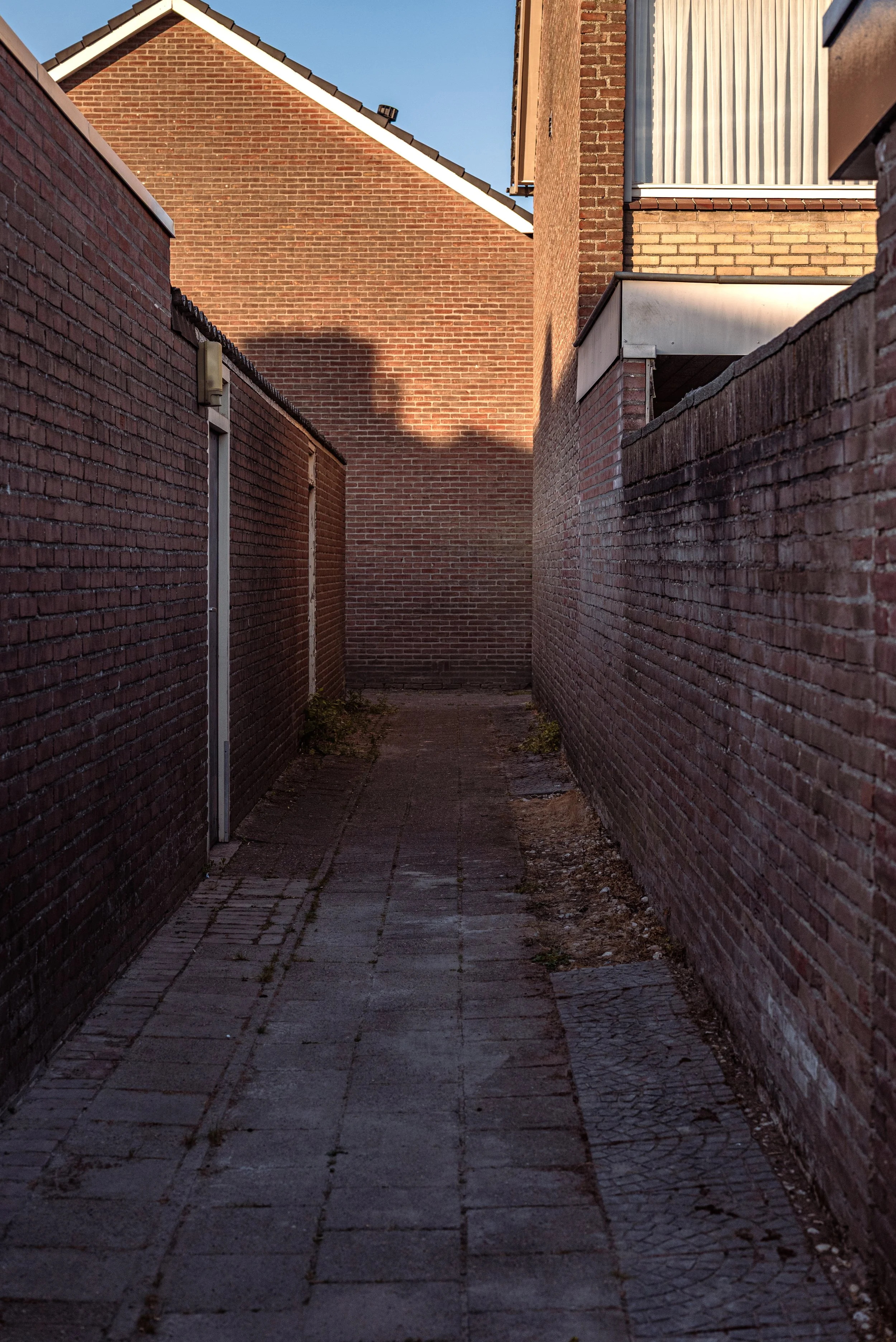 DSC_1292.jpg