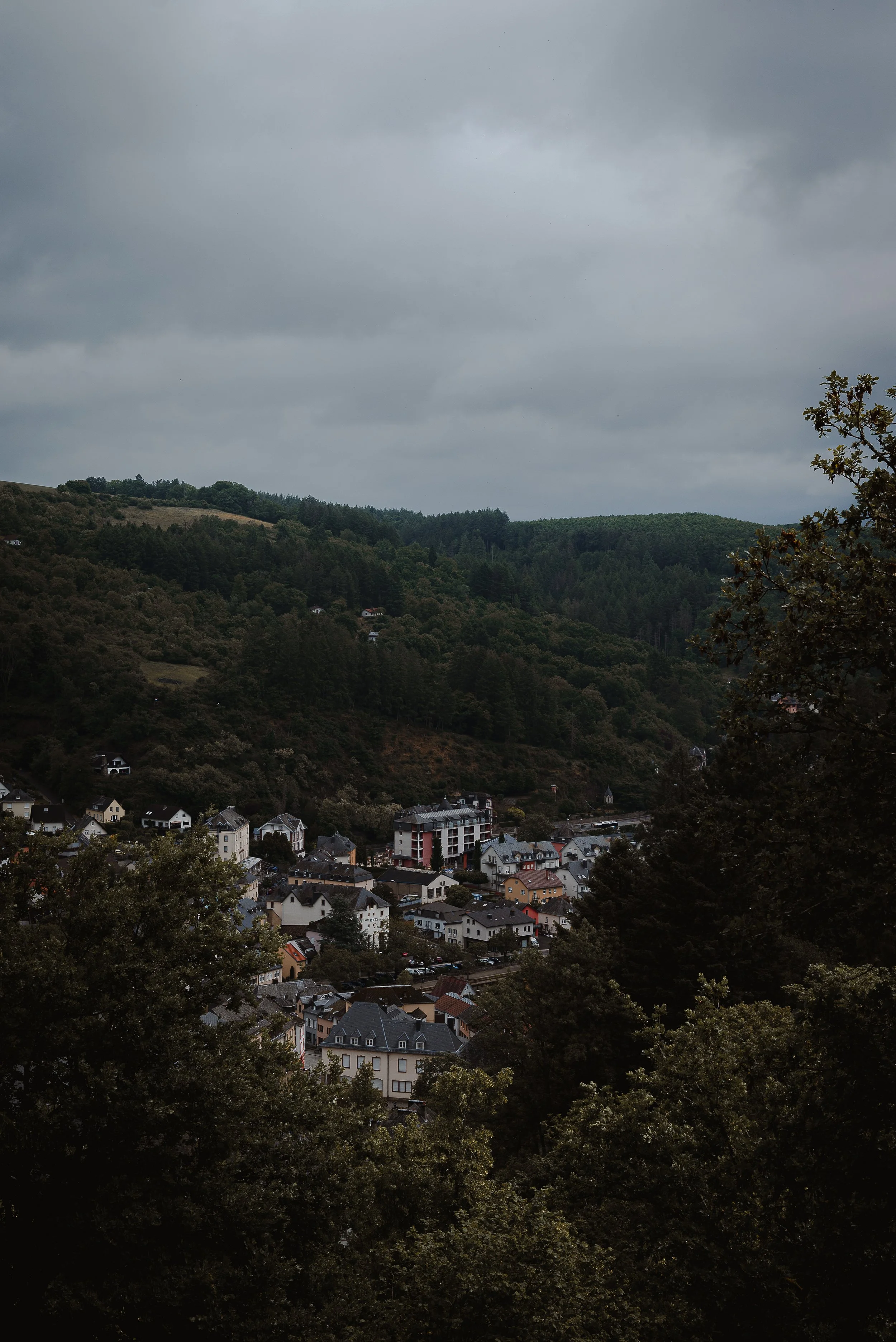 DSC_2155-9.jpg