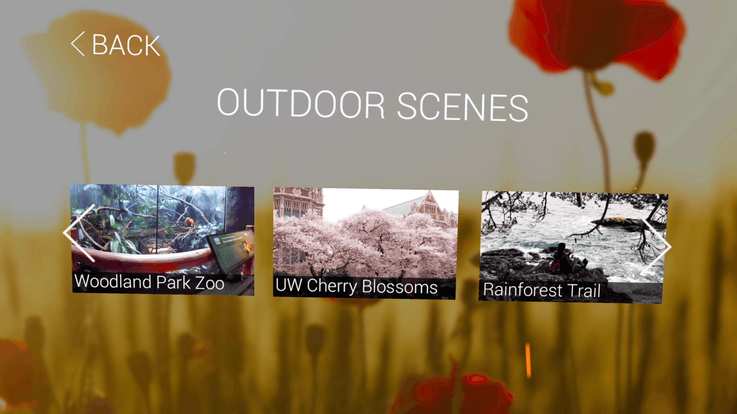 VR Mobile Outdoor Scene.gif