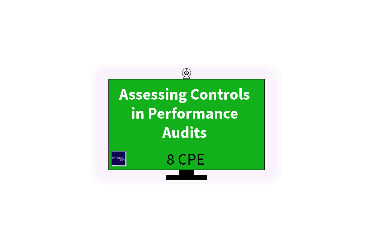 Assessing Controls in Performance Audits-1 (1).png