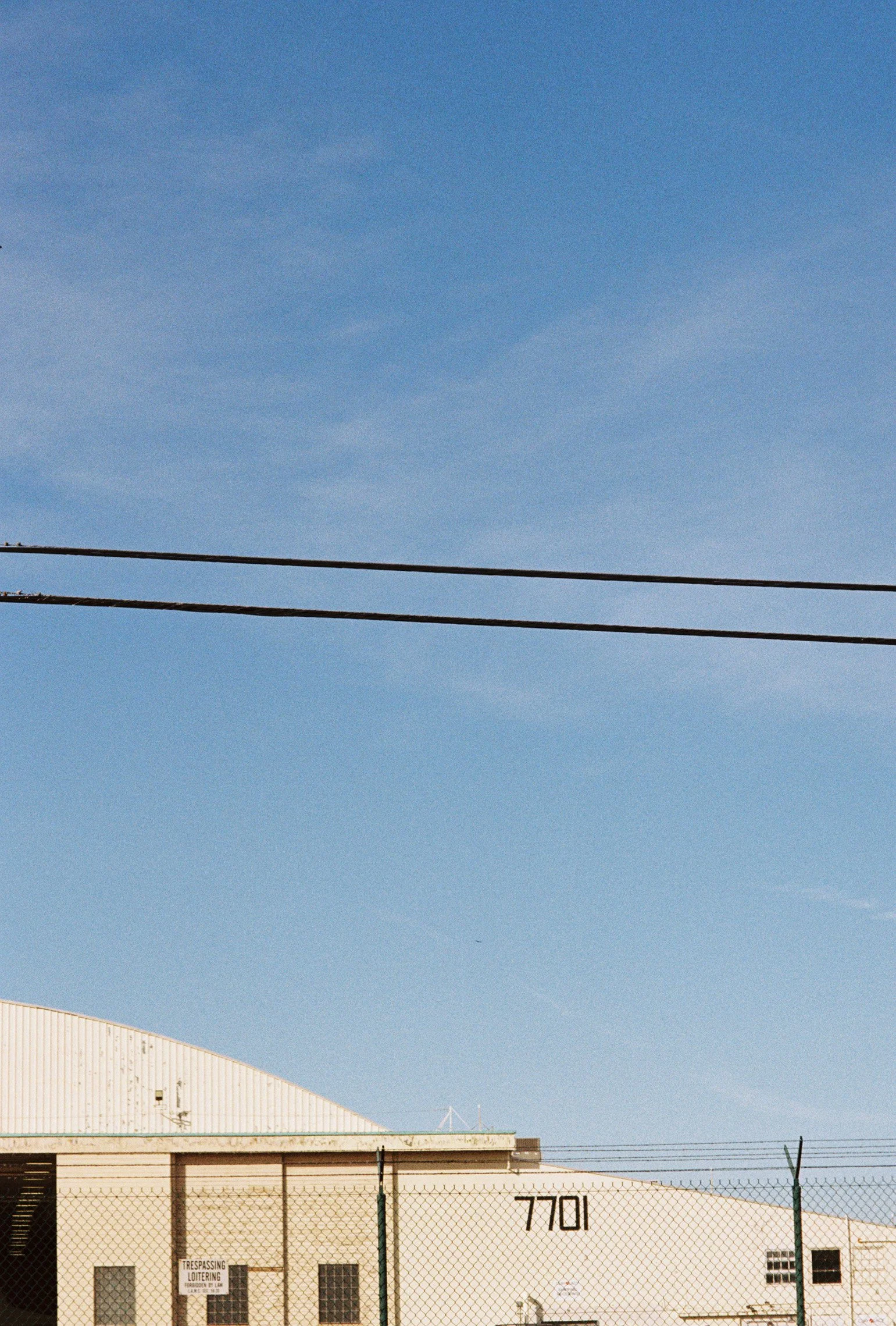 jade066-034 copy.jpg