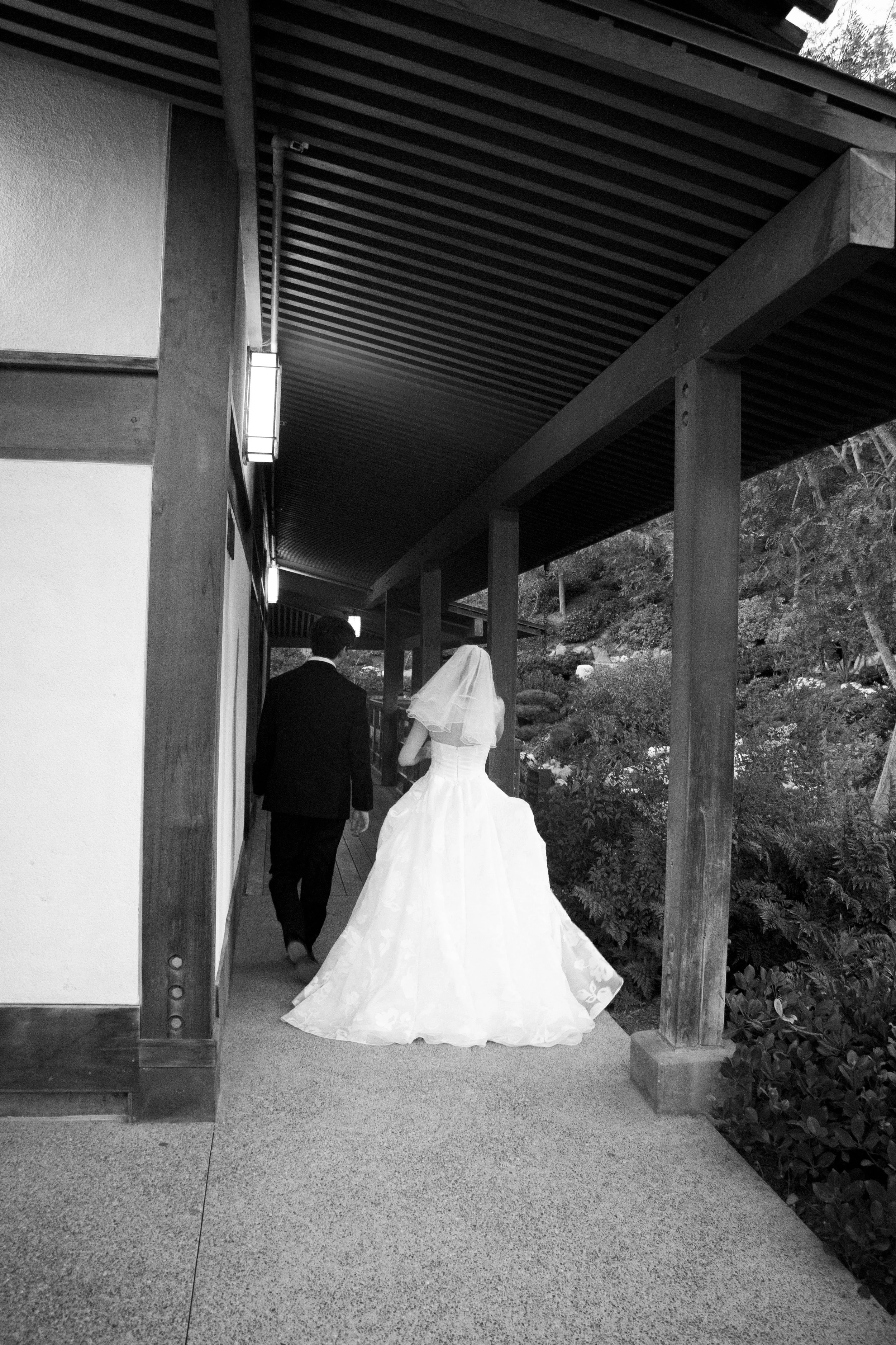 _MG_5593 copy.jpg