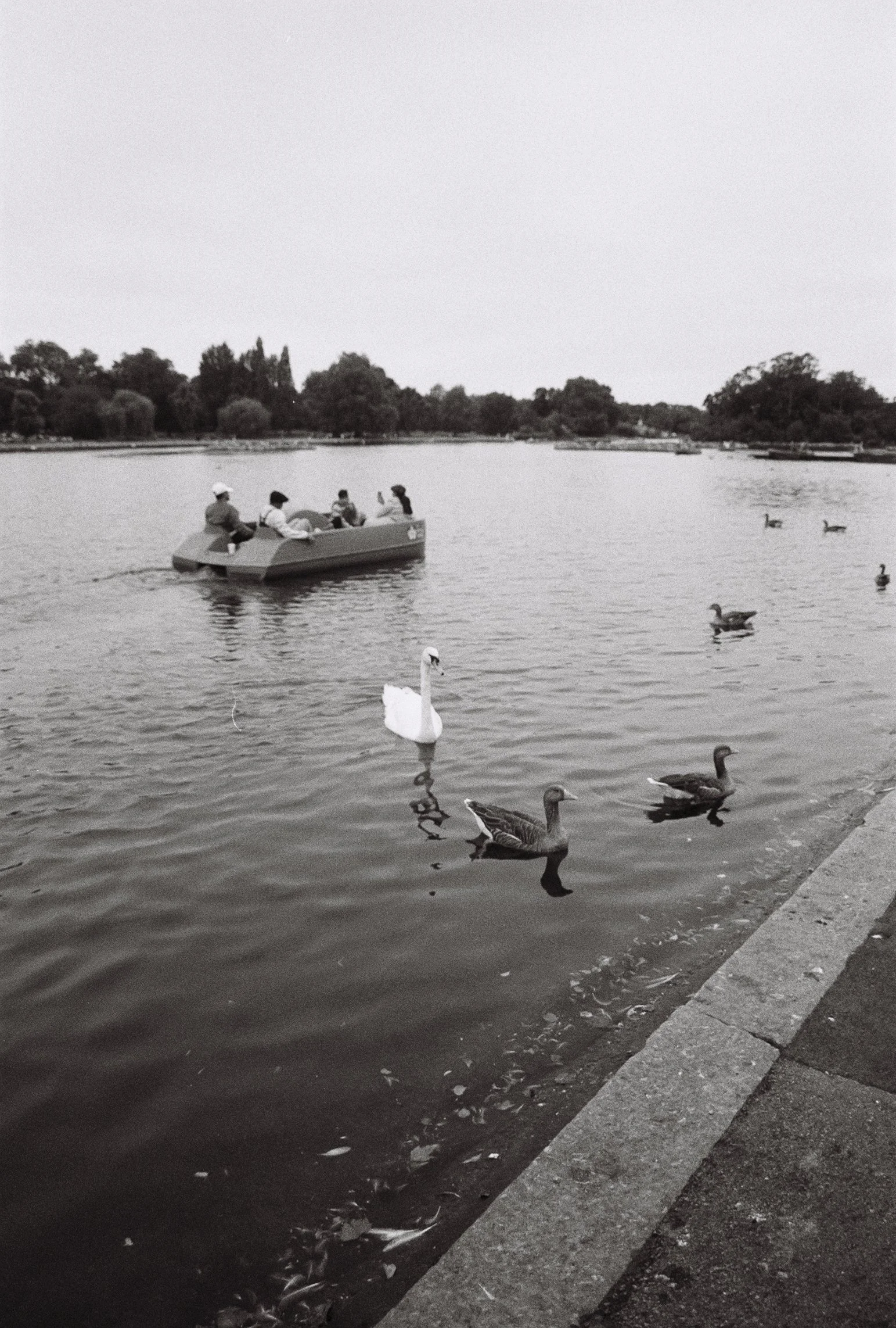 651-028.jpg