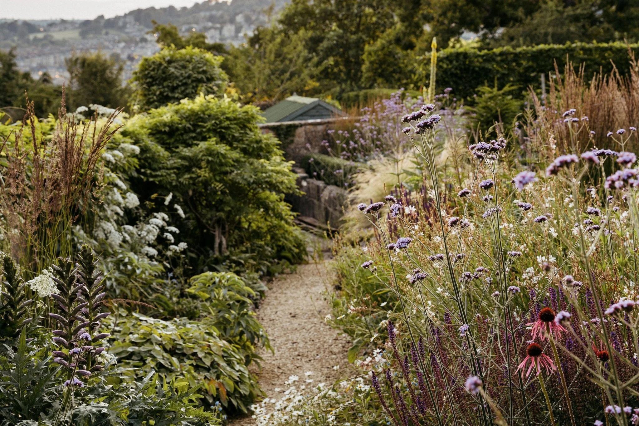 Planting design Bath Somerset Tom Eaglestone Naturalistic planting