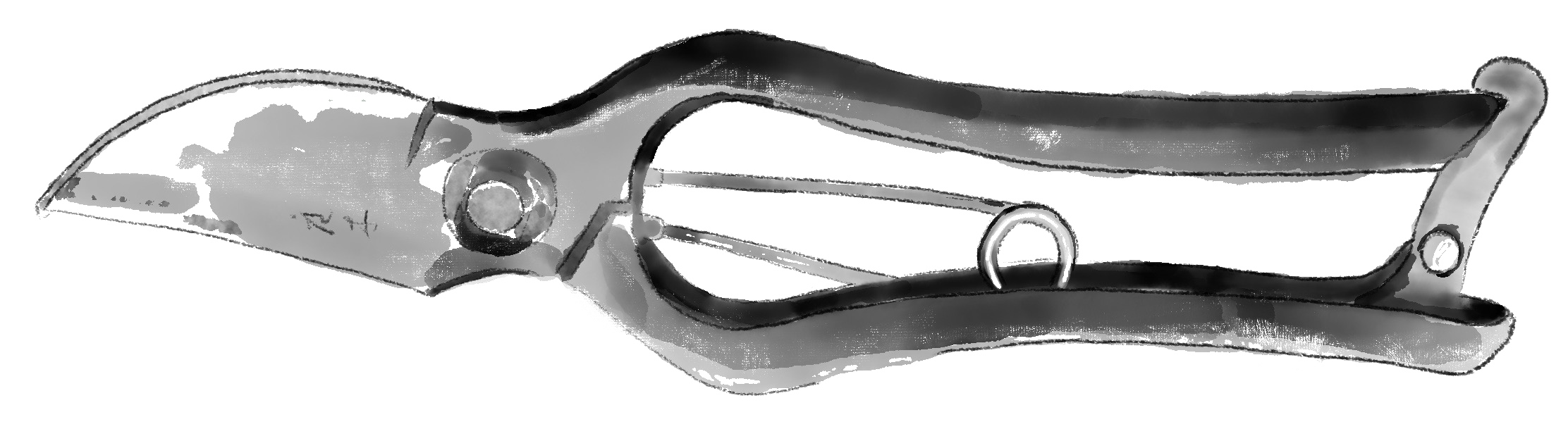 Black and white illustration of a pruning shear with a curved handle and a sharp blade.