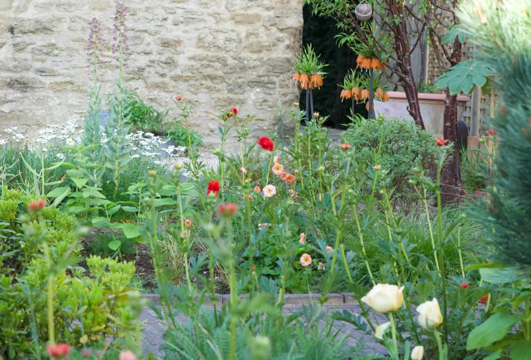 A garden with various blooming flowers and green plants, adjacent to a stone wall and a wooden lattice with climbing plants.