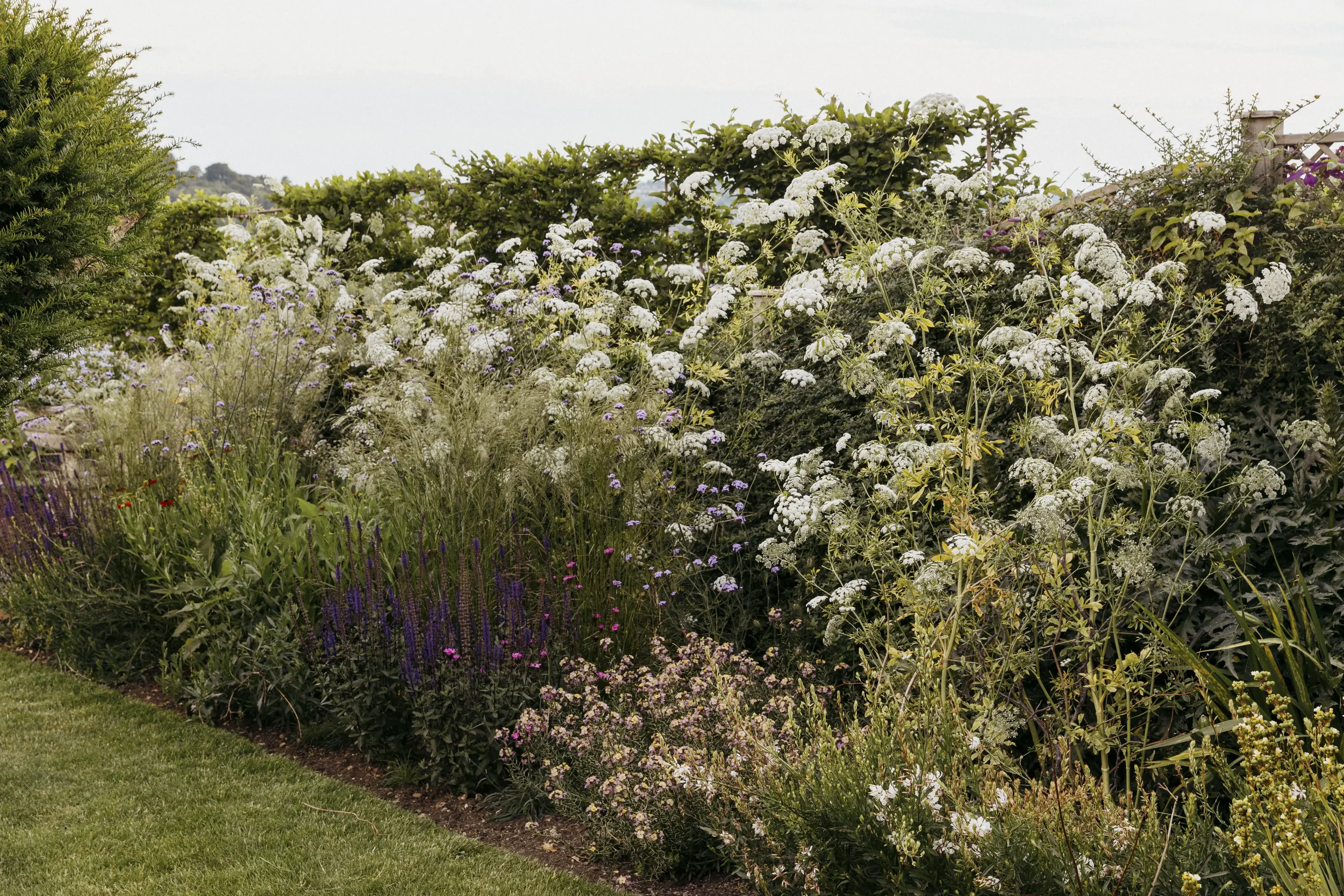 A lush garden with various flowers and plants, including white, purple, and pink blossoms, with a green lawn in the foreground and a partly cloudy sky in the background.