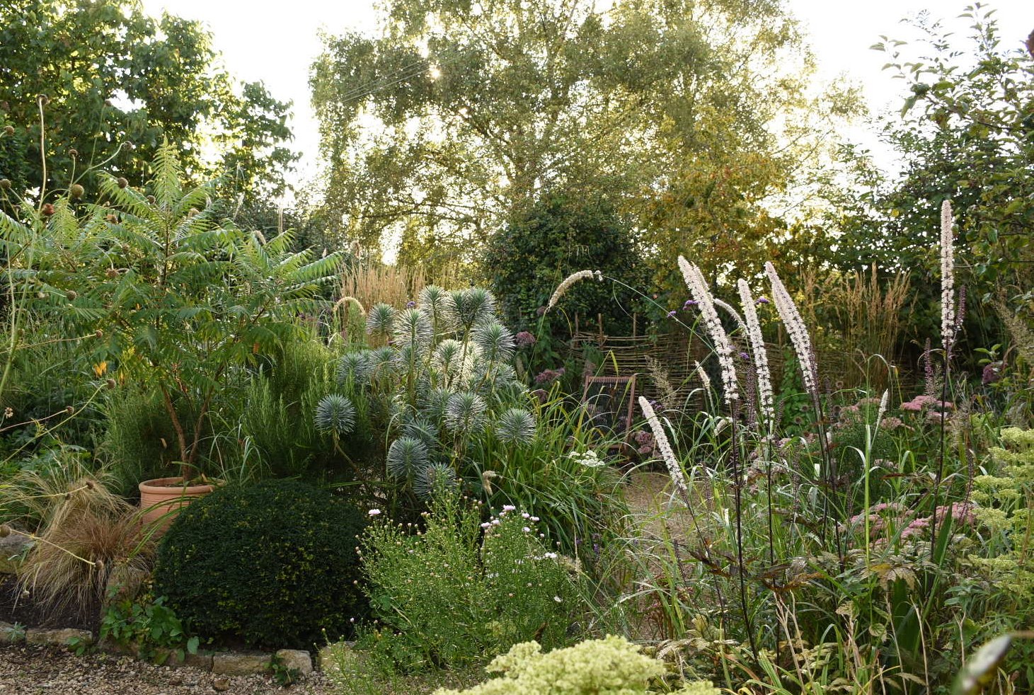 Lush garden with various green plants, flowers, and trees, sunlight filtering through the foliage.