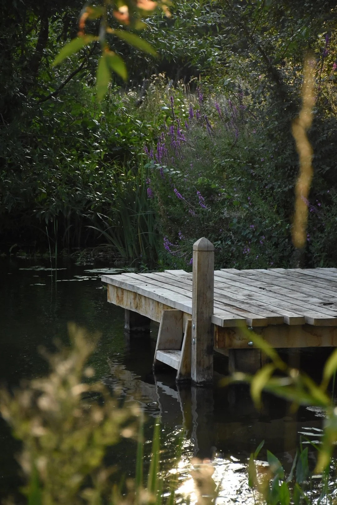 A small wooden dock extending into a calm body of water surrounded by dense green foliage and purple flowers.