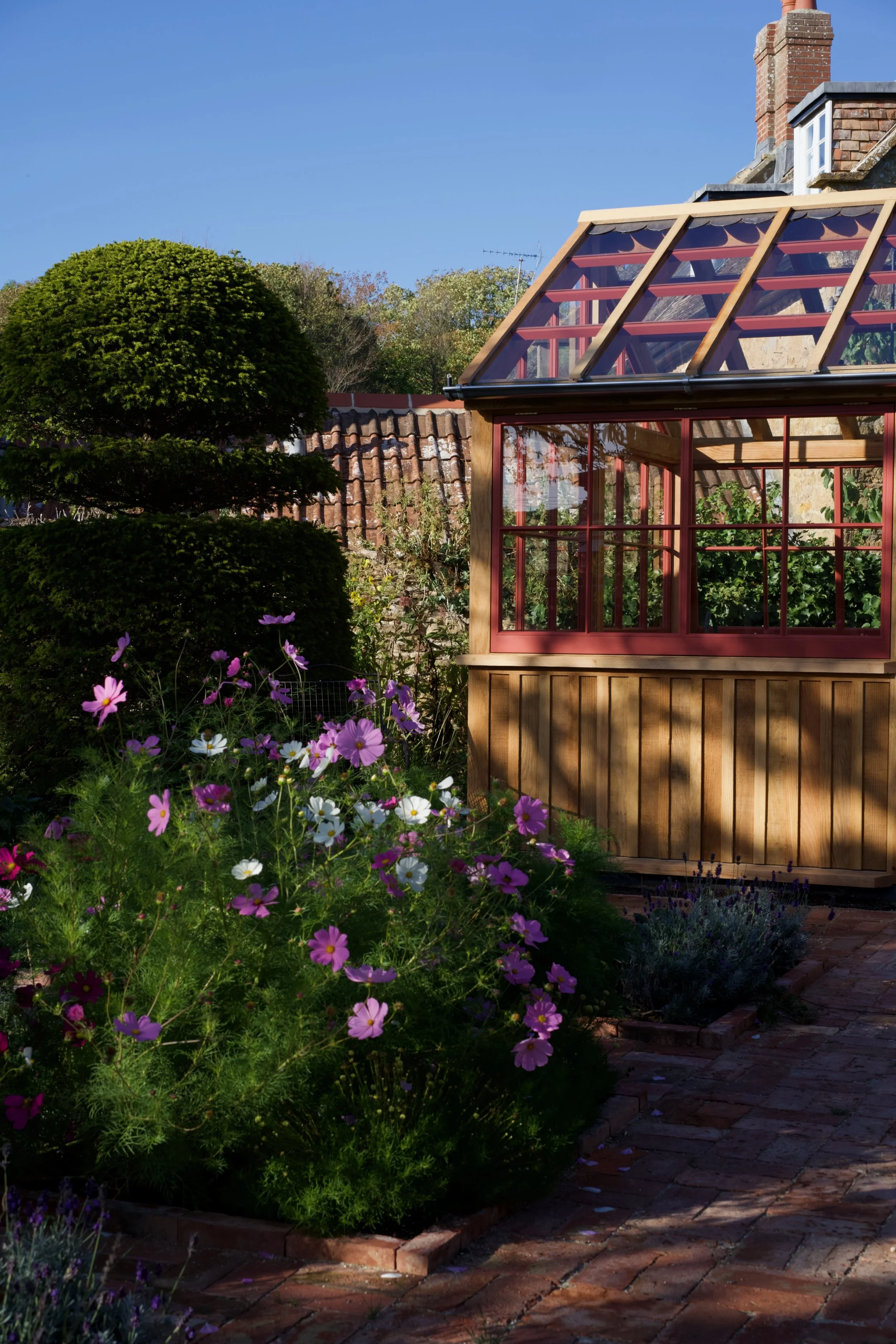 Potting shed with three tiered topiary and cosmos