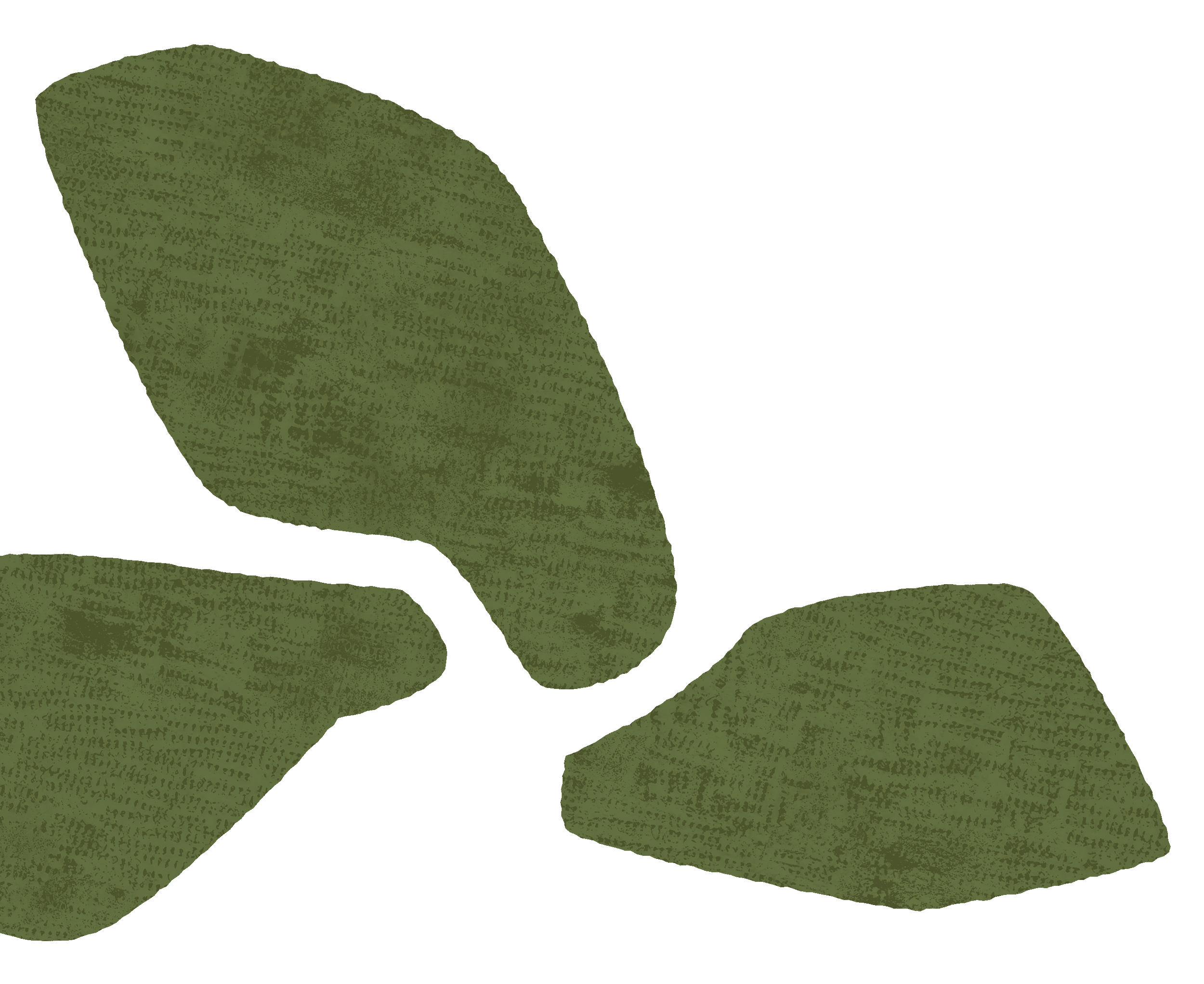 Close-up of green leaves with textured surface and slightly curved shape.