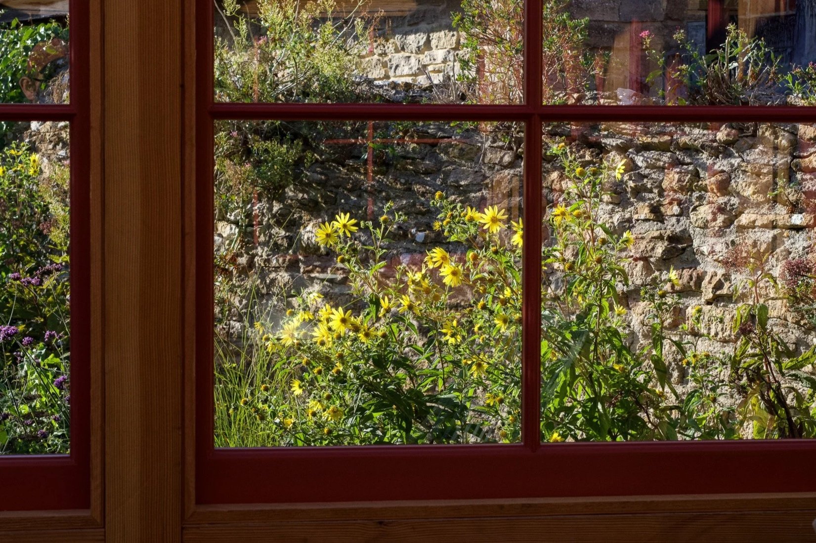 View of a garden with yellow flowers through a window with red framing, stone wall in the background