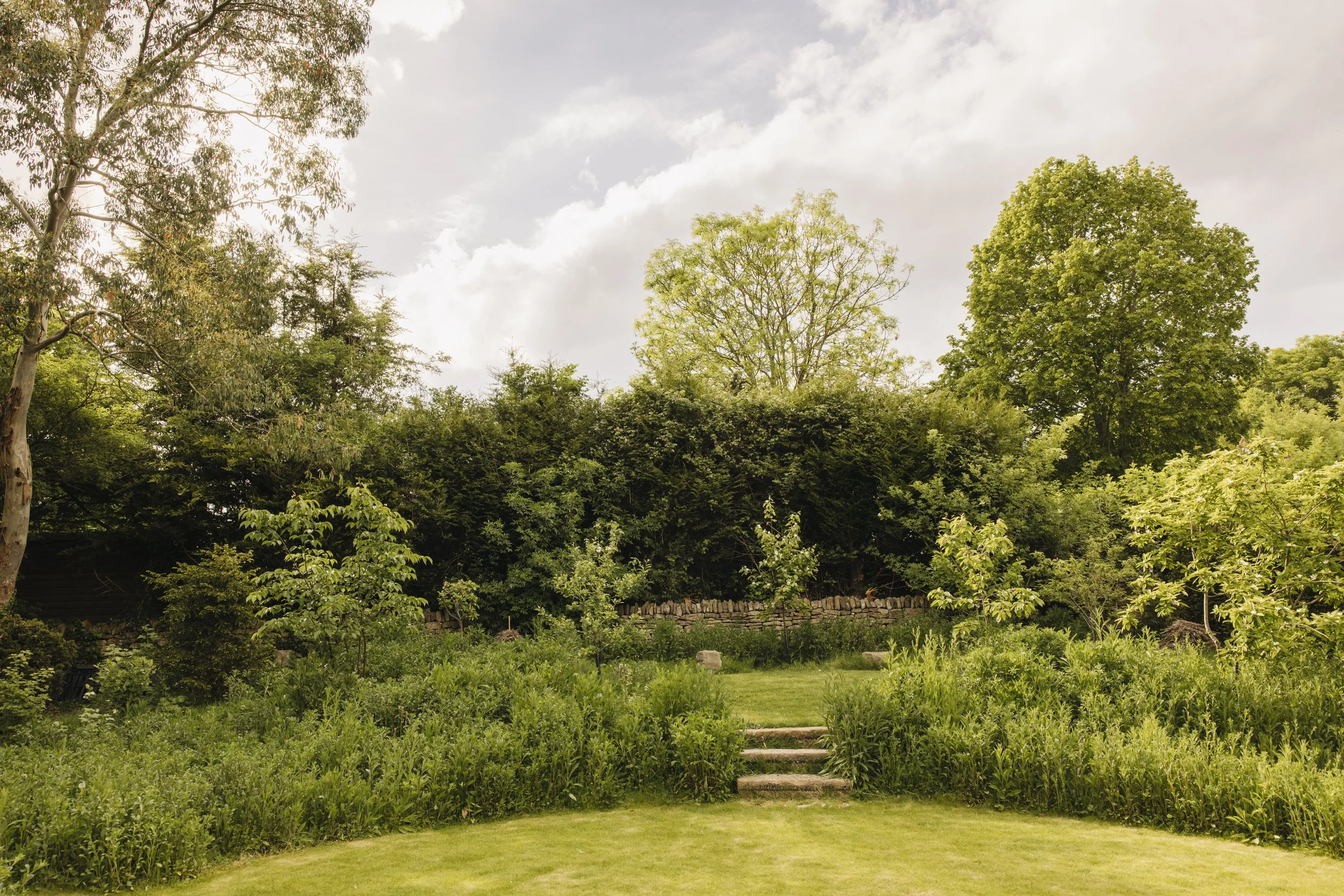 A backyard with lush green grass, stone steps, a variety of trees and bushes, and a cloudy sky overhead.