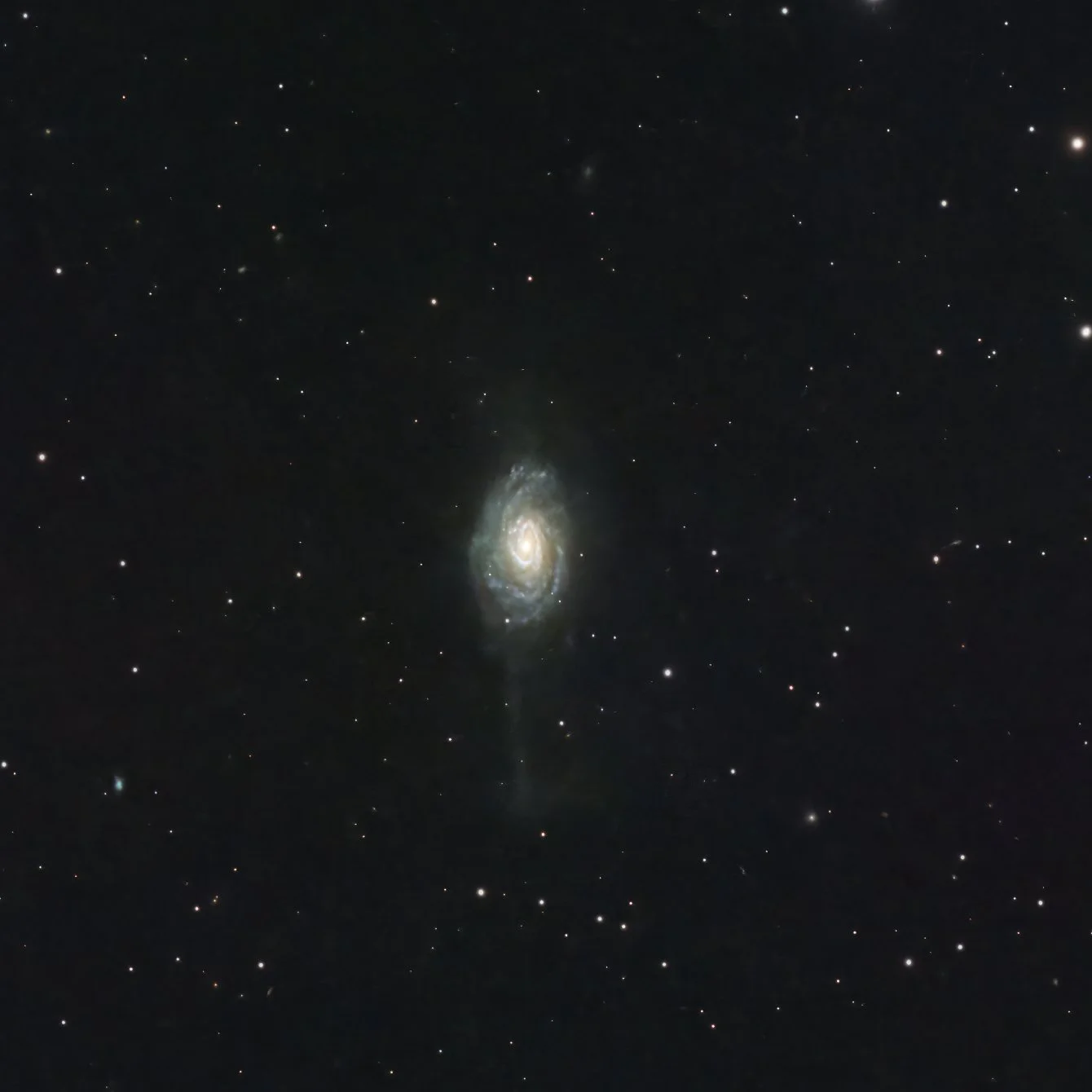 Umbrella Galaxy NCG 4651