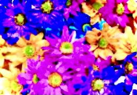 Bright Arrangement