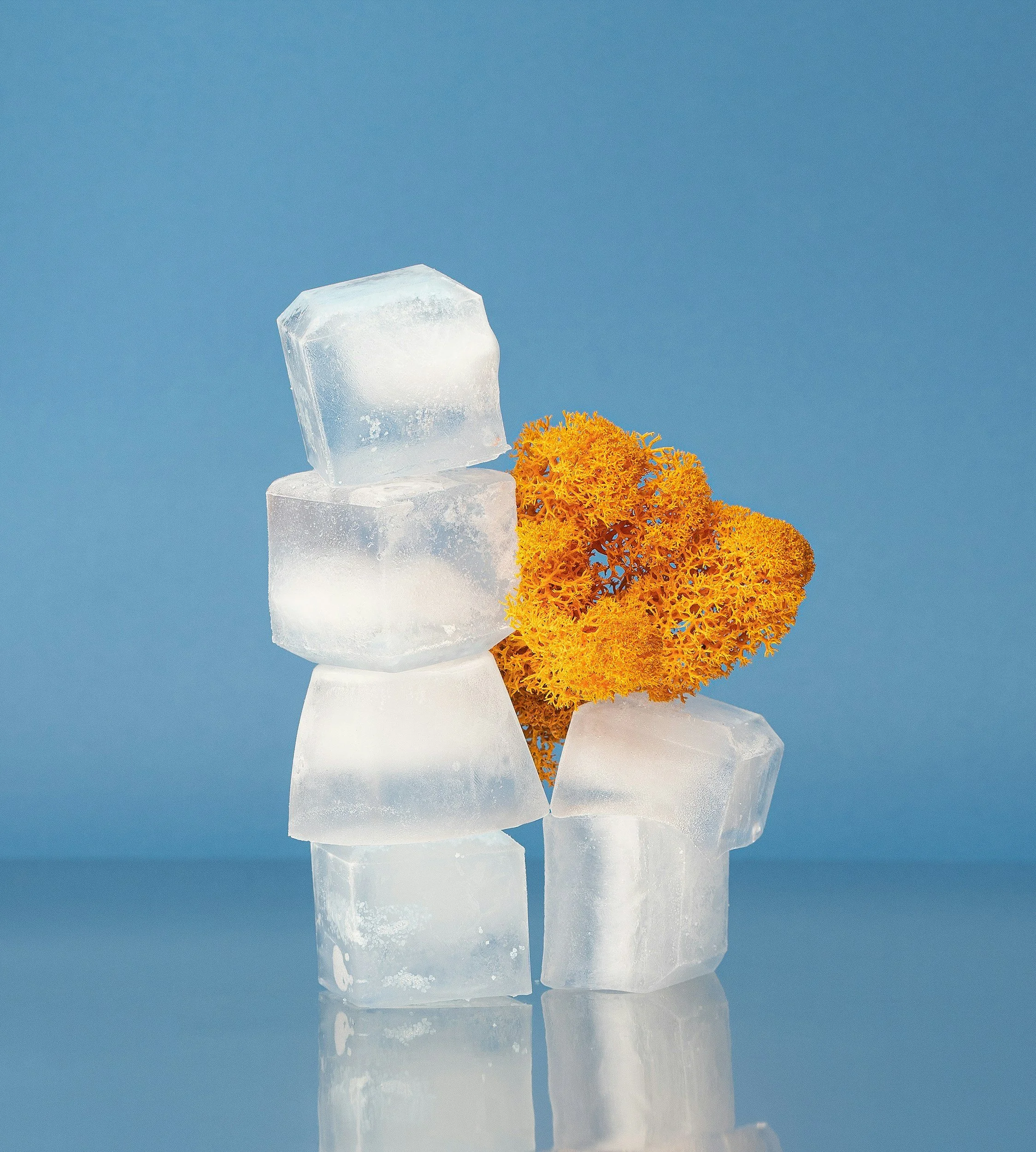 From luxury to everyday: The chilling history of ice