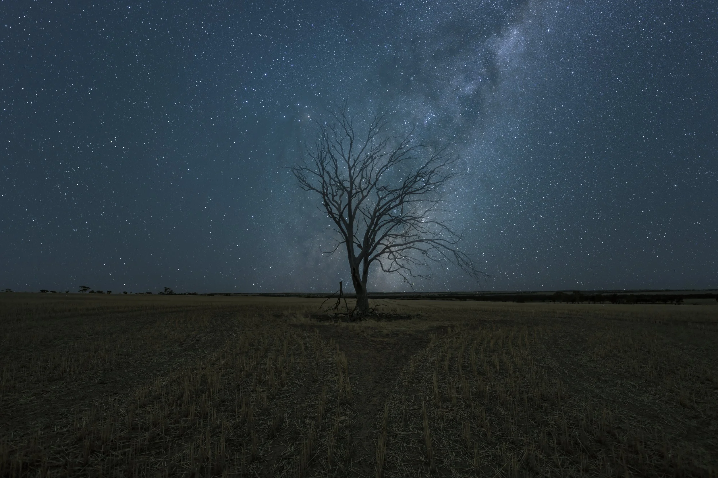 Rooted In Silence, Australia.jpg